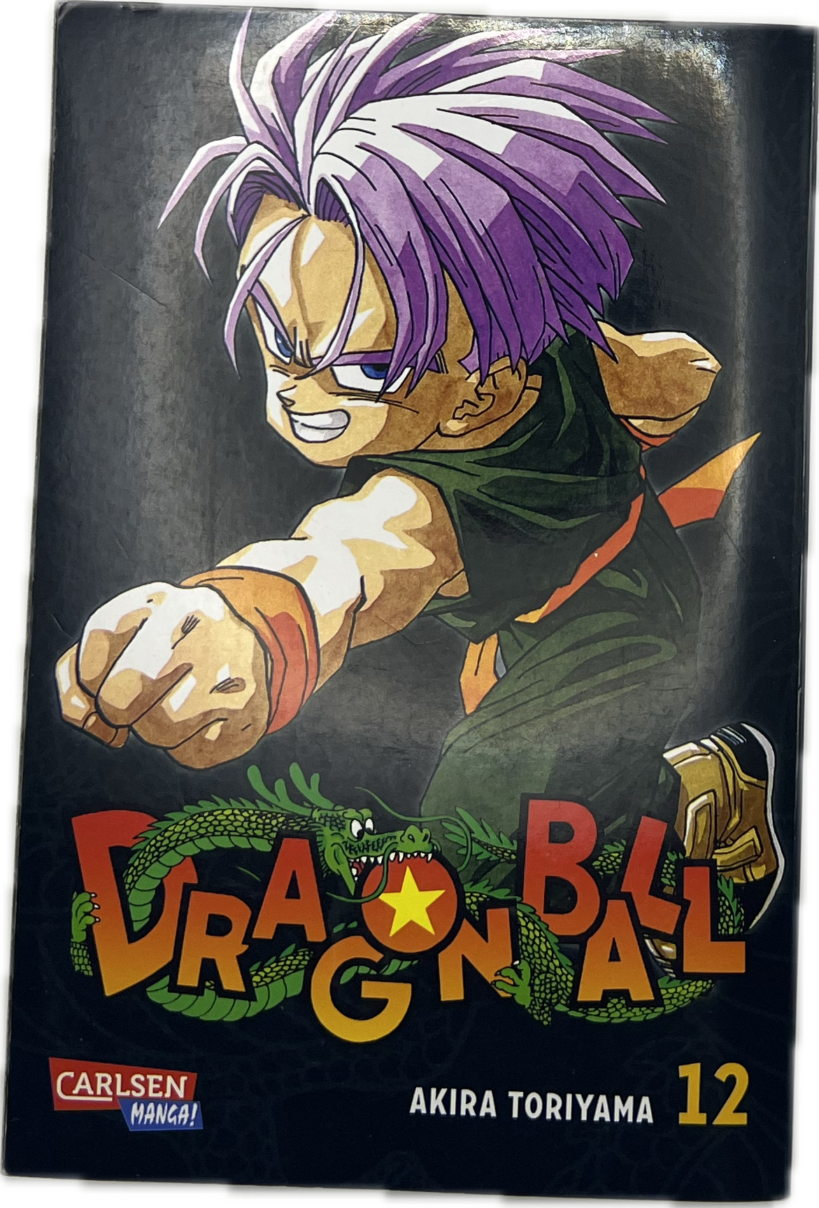 Dragon Ball Massiv 12