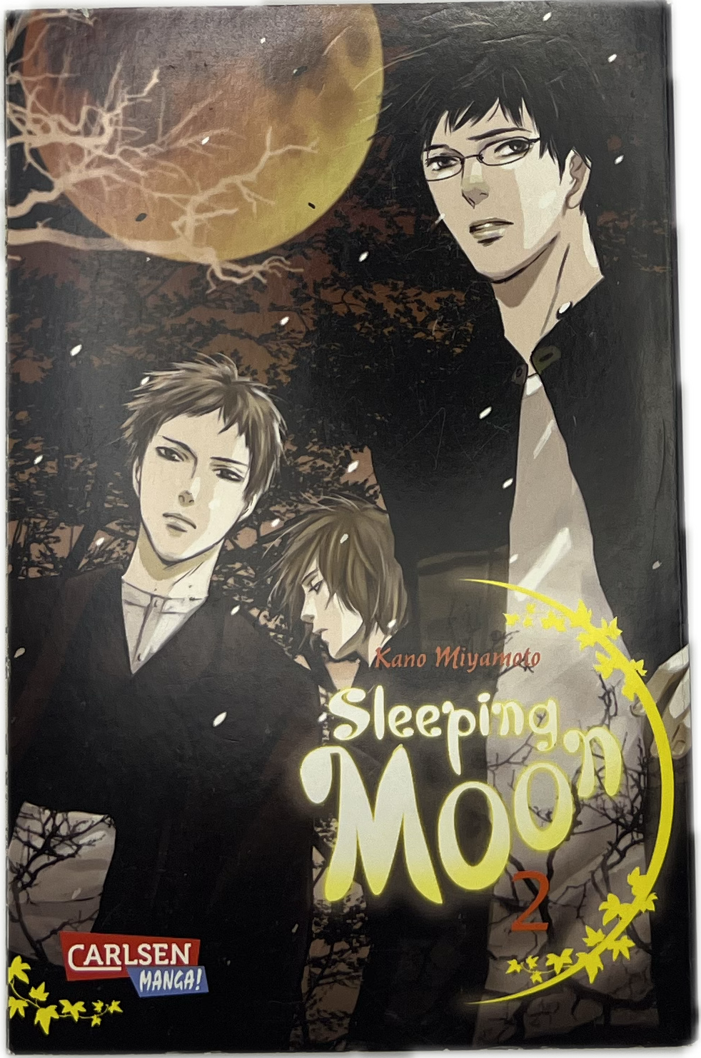 Sleeping Moon 02