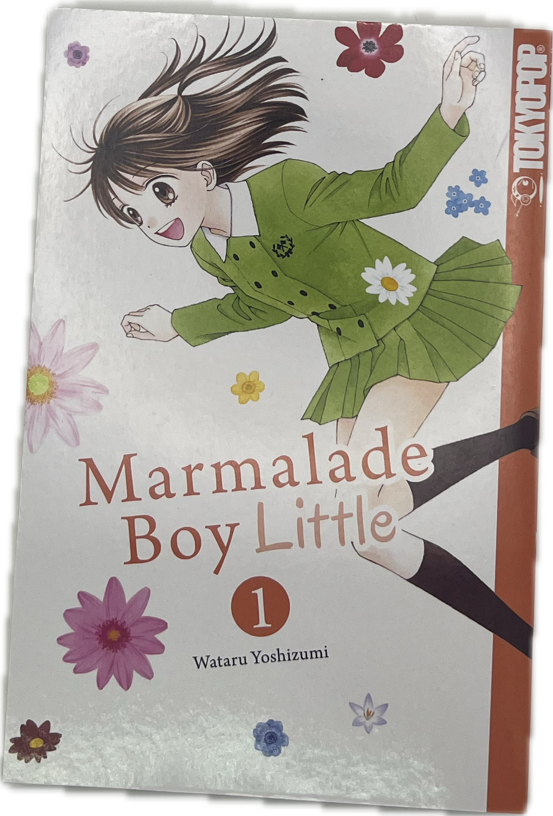 Marmalade Boy Little 01