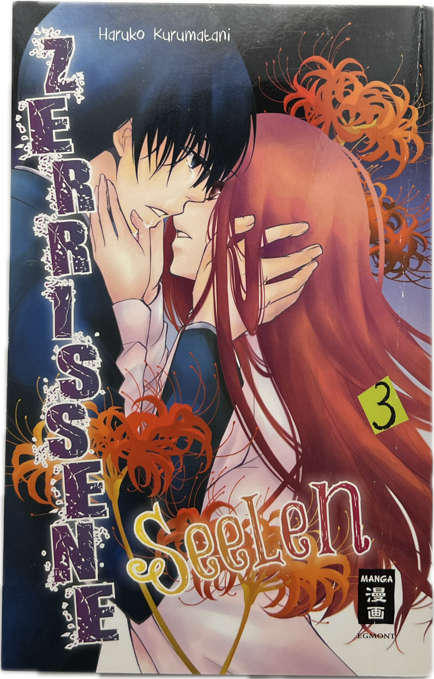 Zerissene Seelen 03