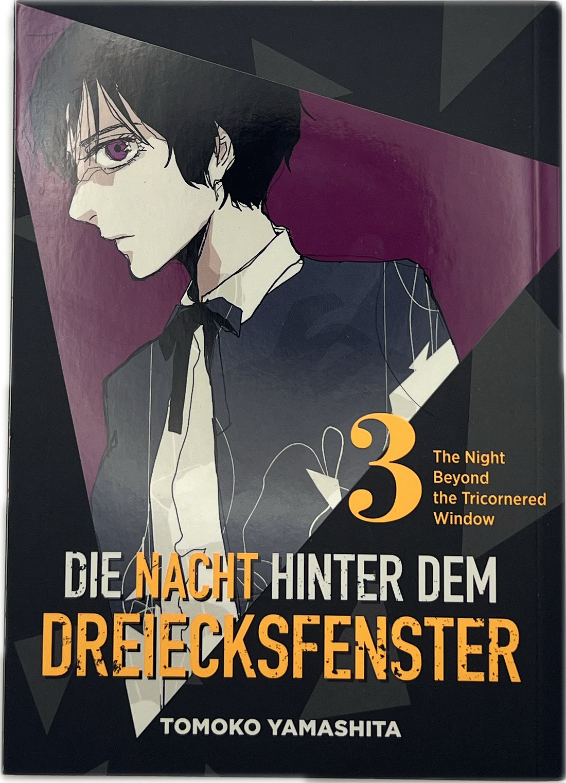 Die Nacht hinter dem Dreiecksfenster 03