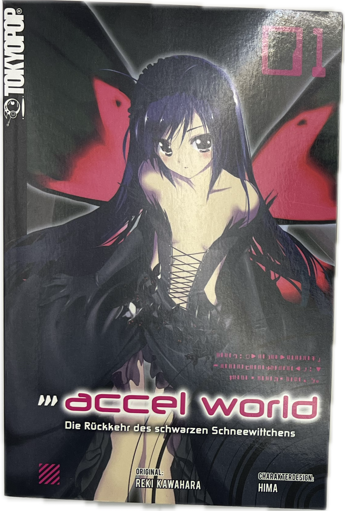 Accel World Novel 01