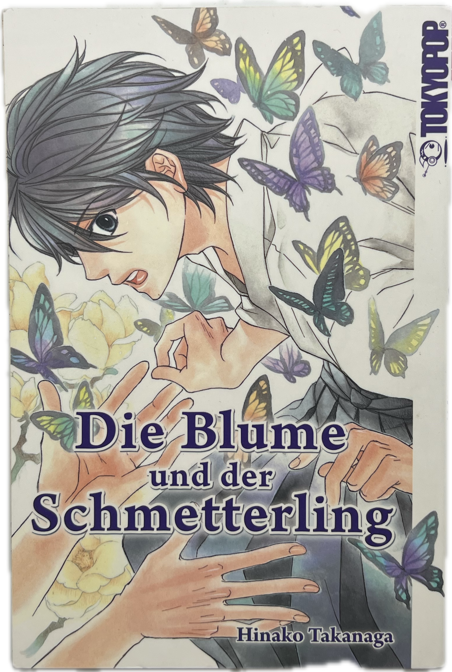 Die Blume und der Schmetterling