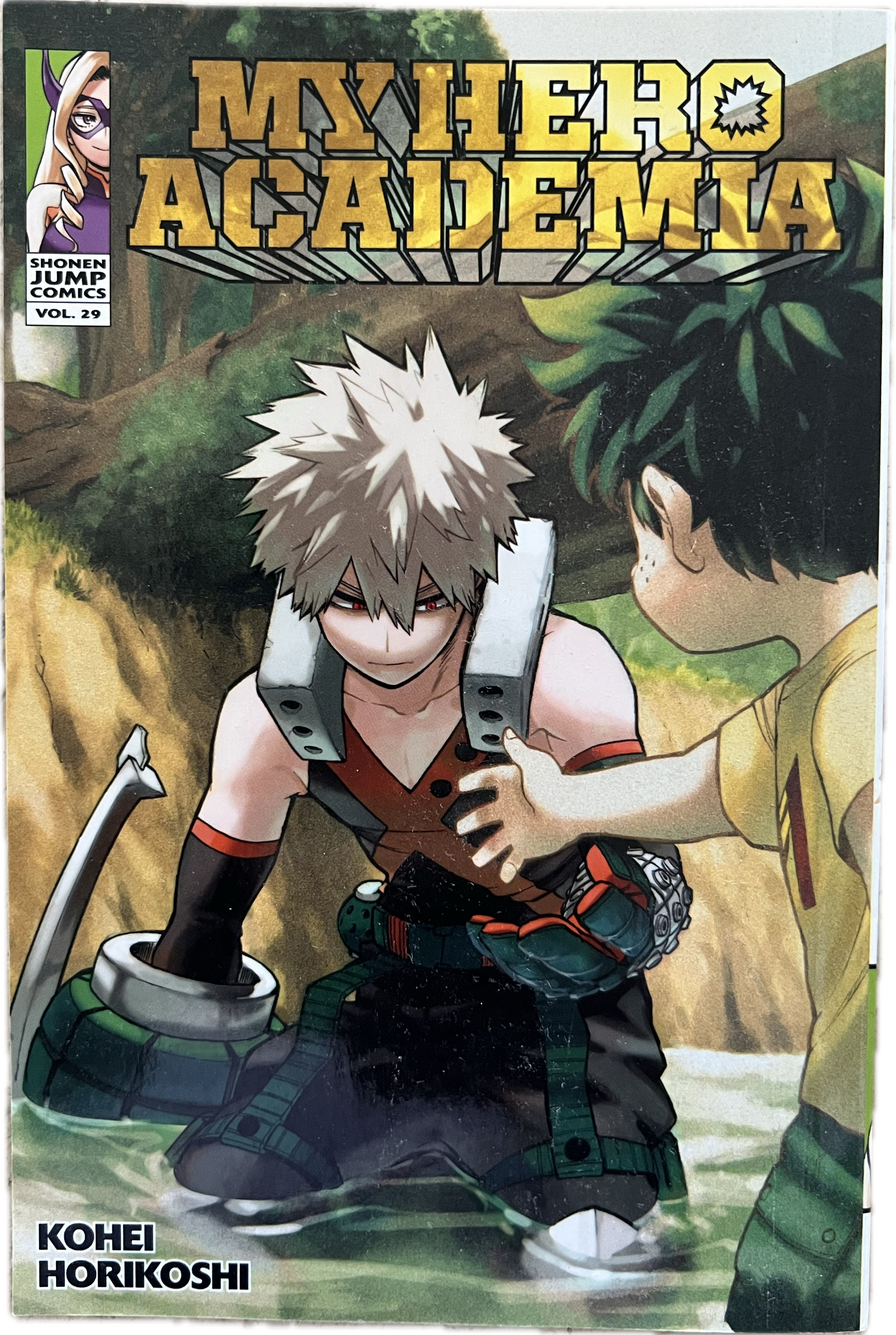 My Hero Academia 29 Englisch