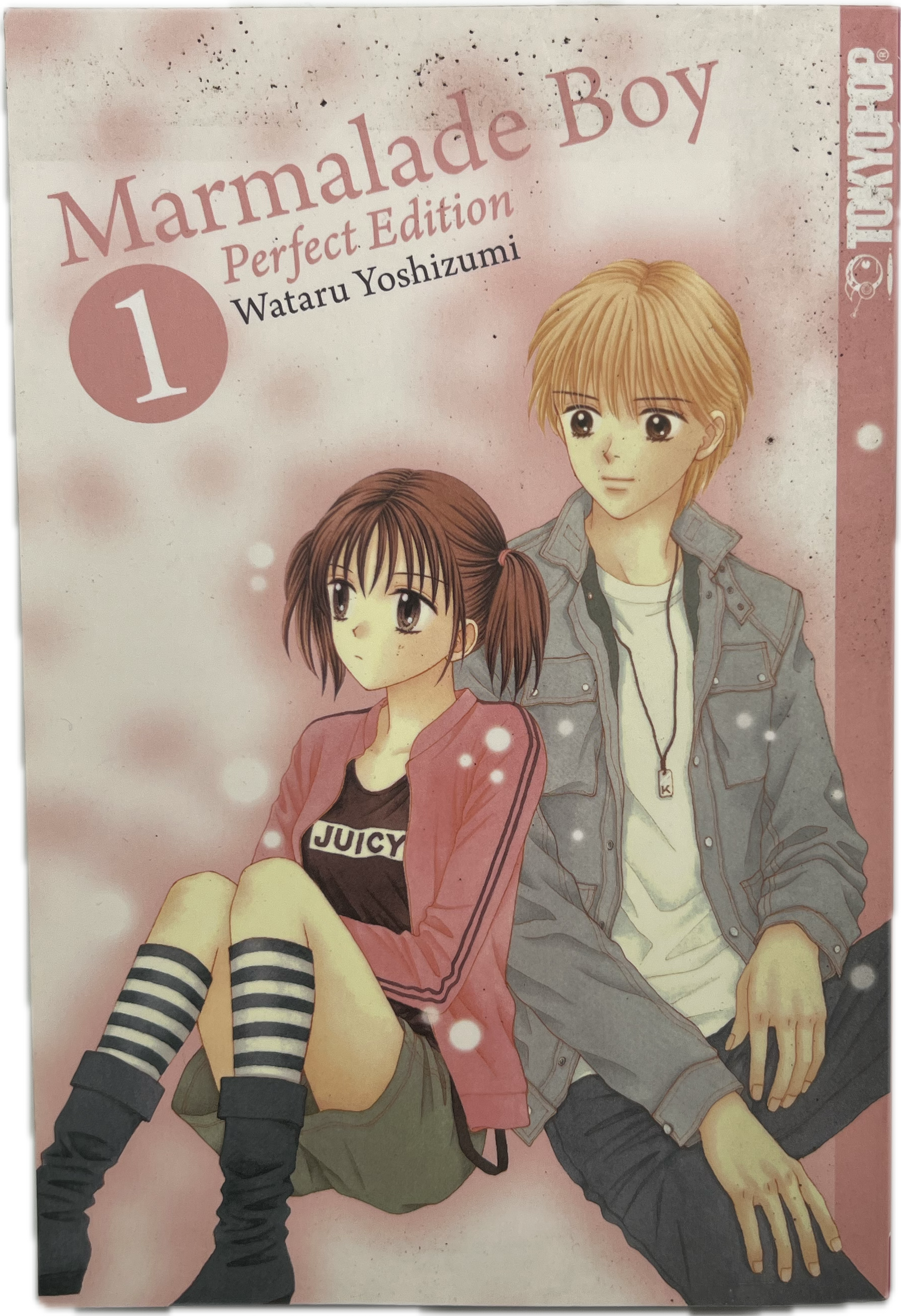 Marmalade Boy Perfect Edition 01