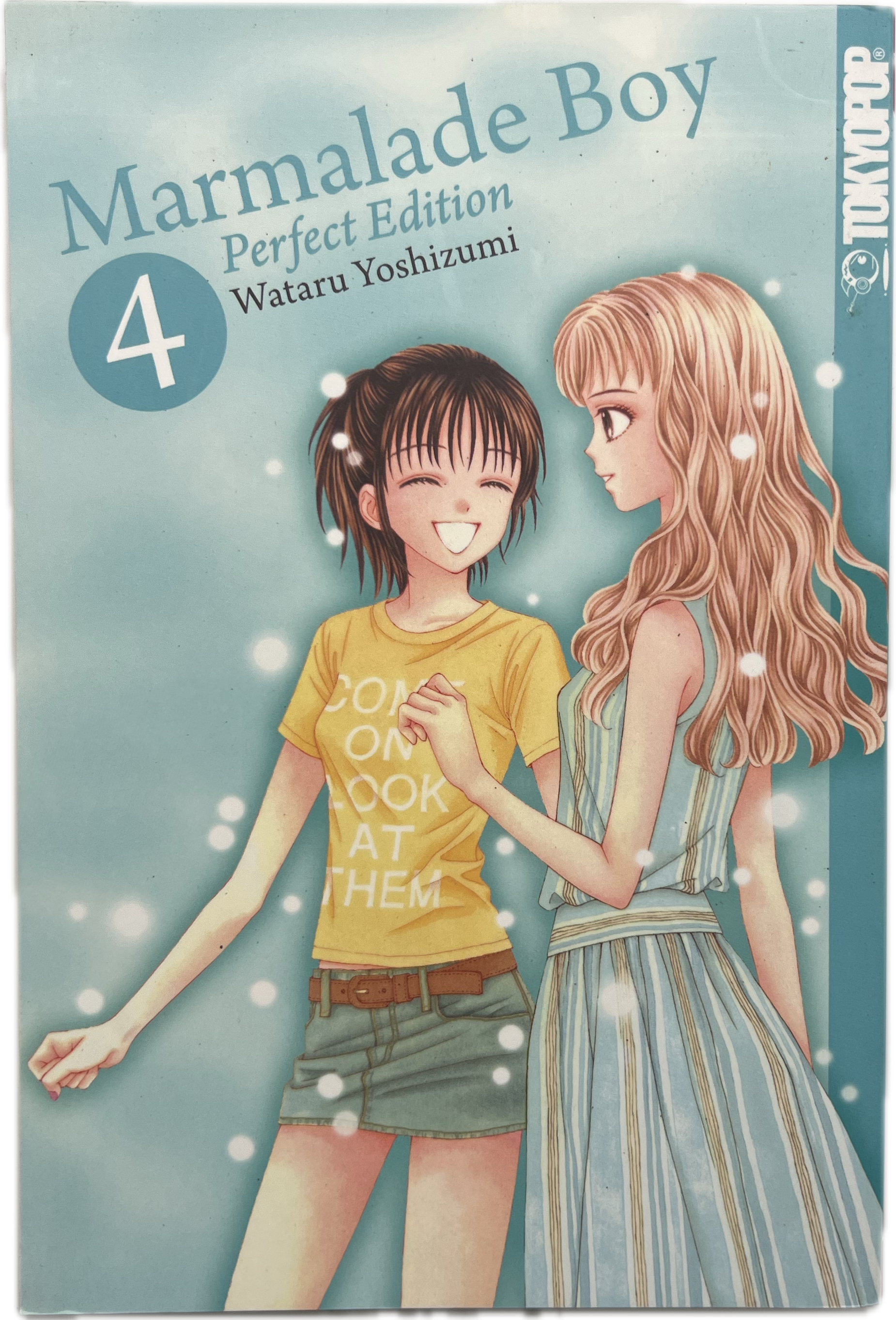 Marmalade Boy Perfect Edition 04