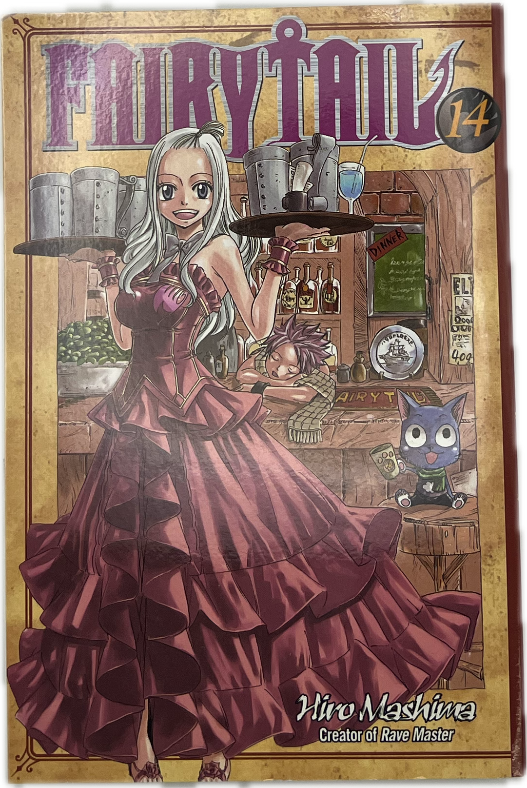 Fairy Tail 14 englisch