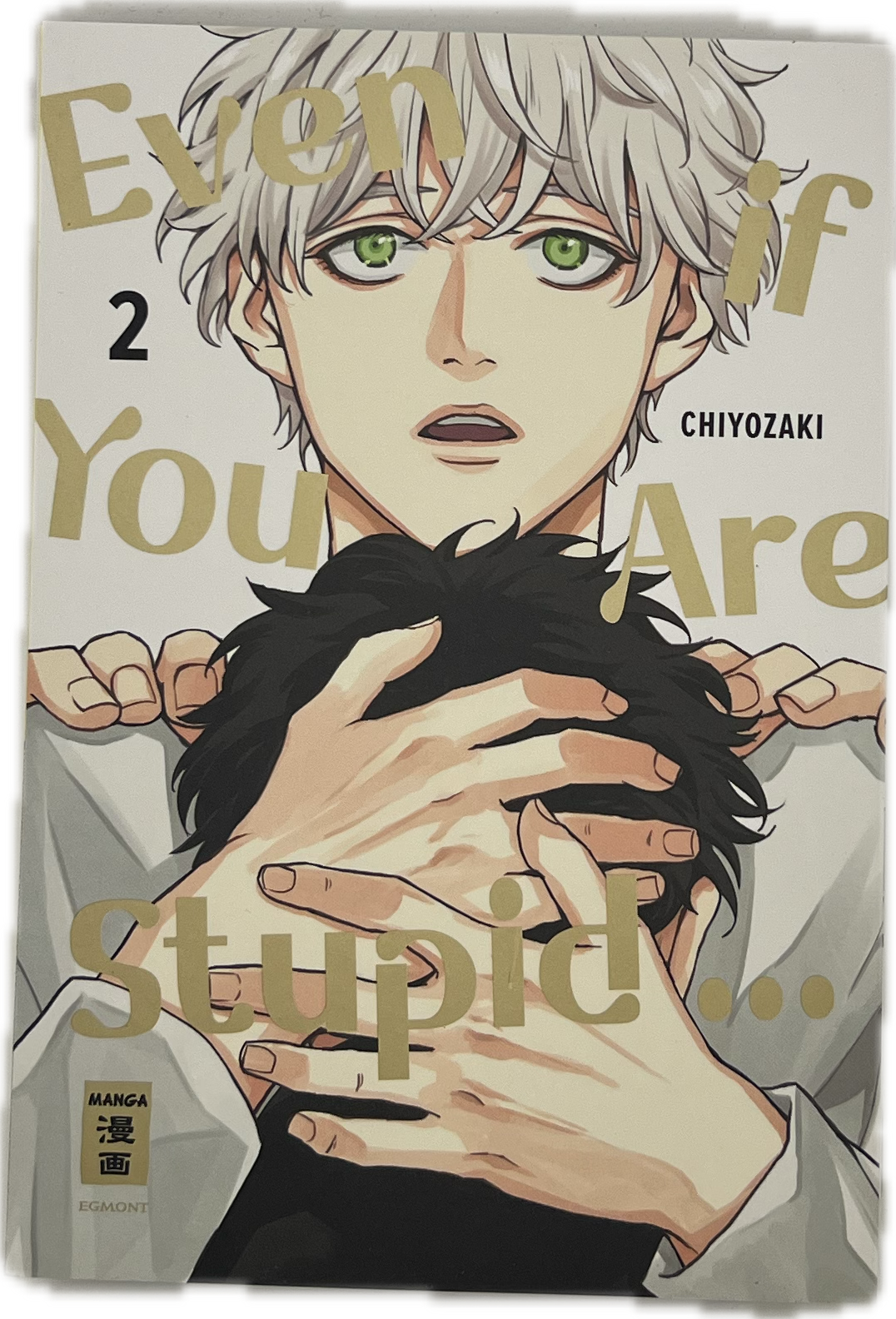 Even if you are Stupid... 02