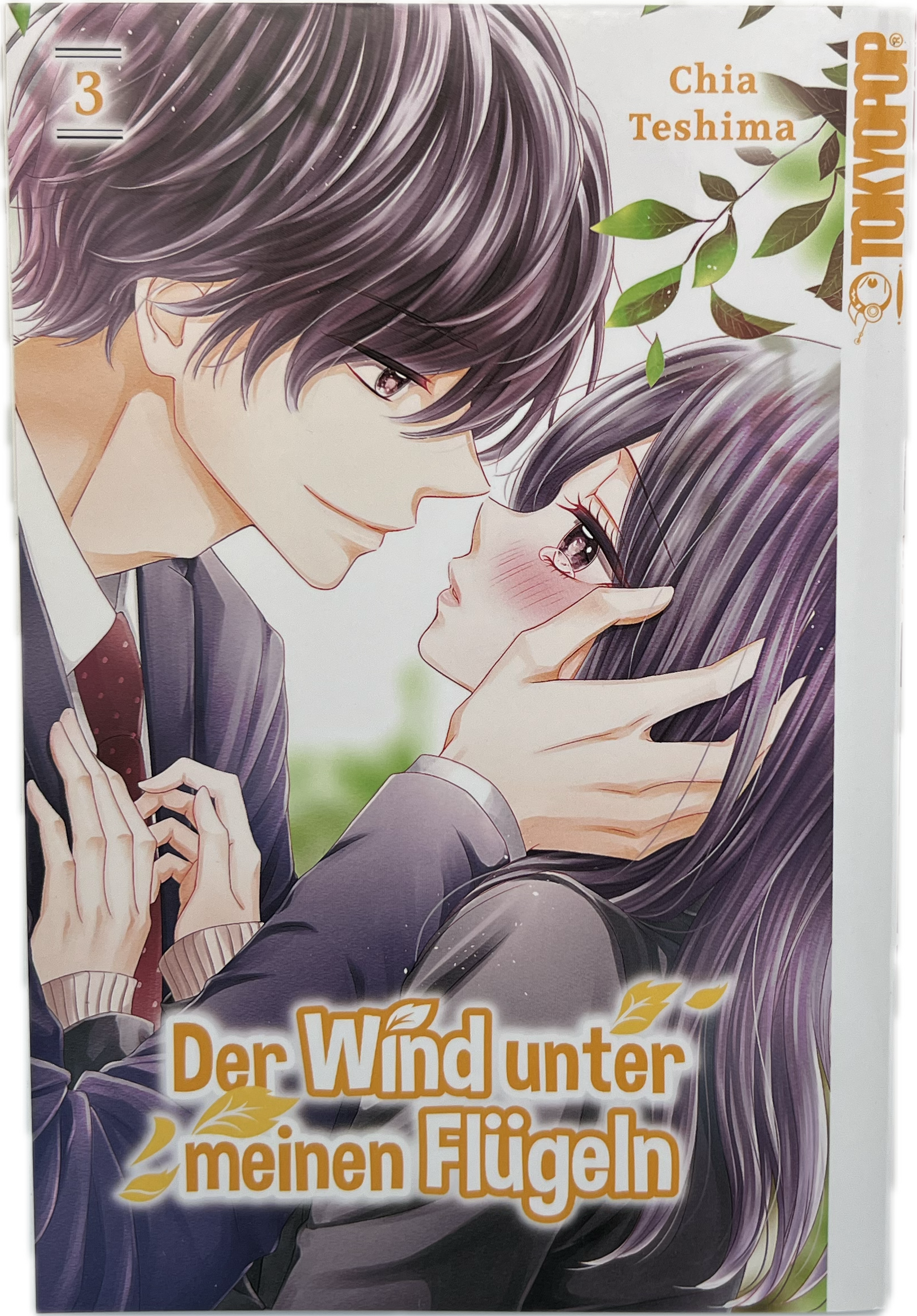 Der Wind unter meinen Flügeln 03
