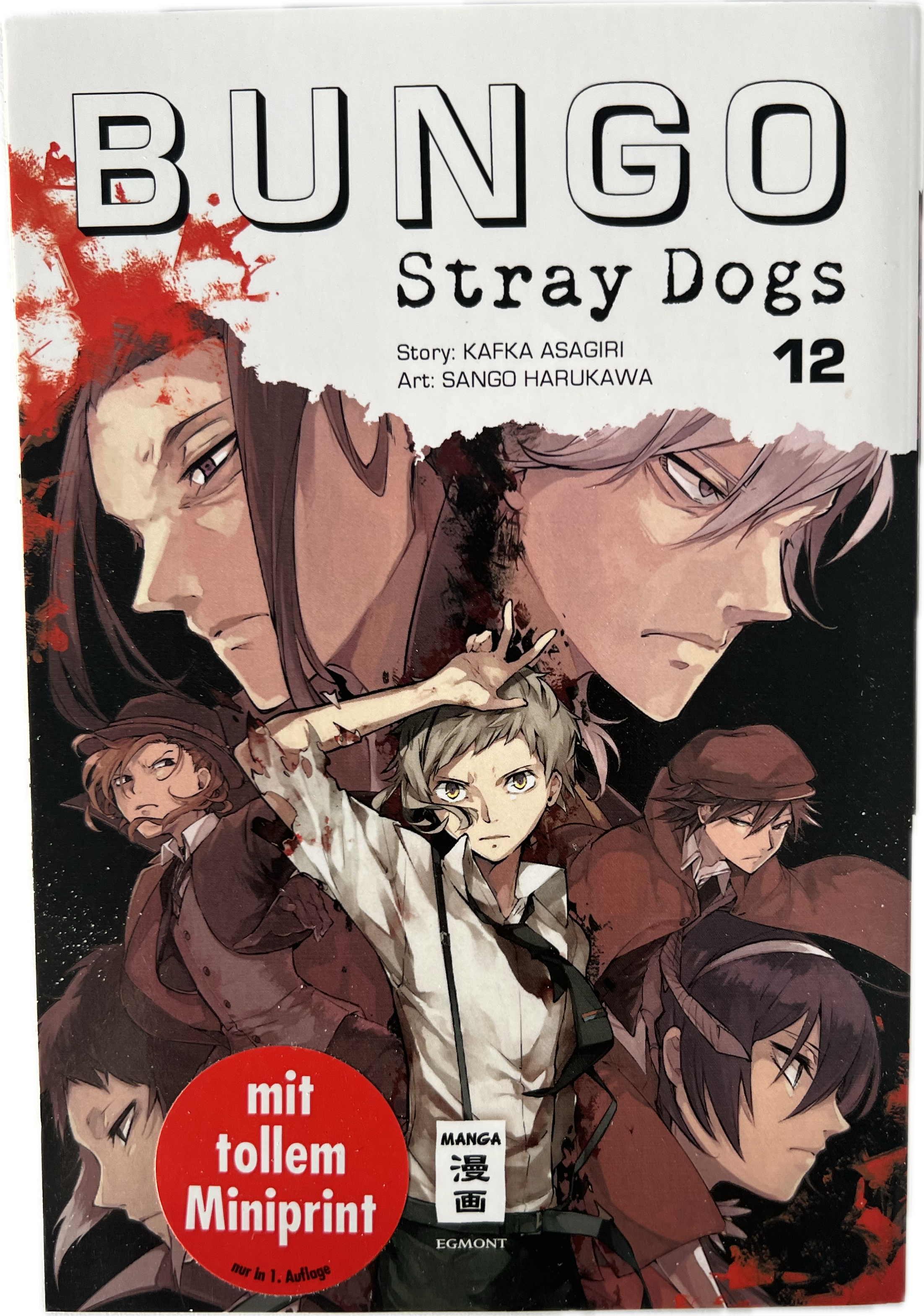 Bungo Stray Dogs 12