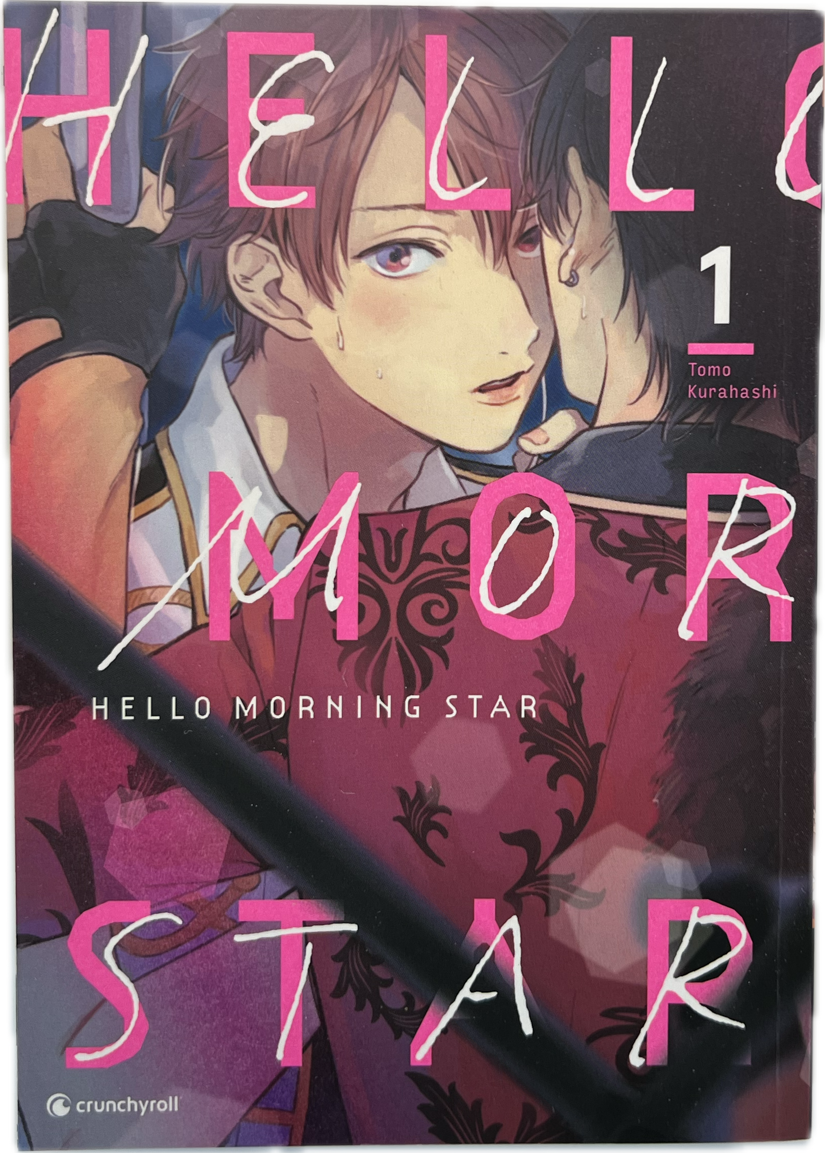 Hello Morning Star 01