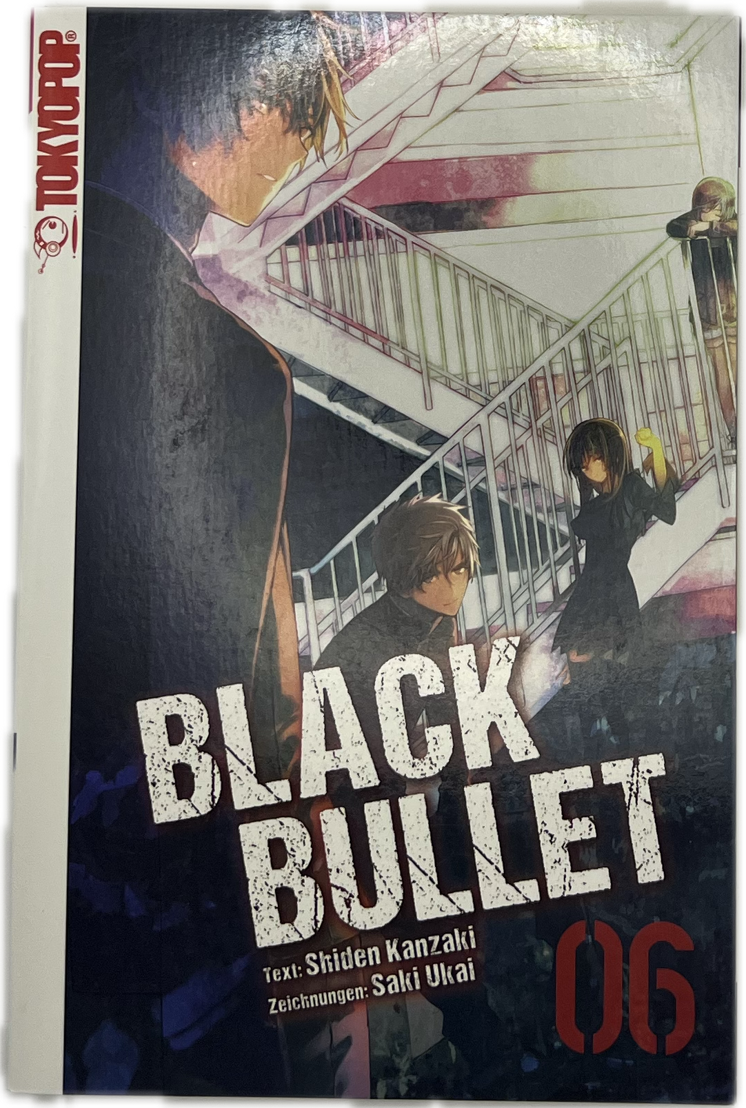 Black Bullet Novel 06