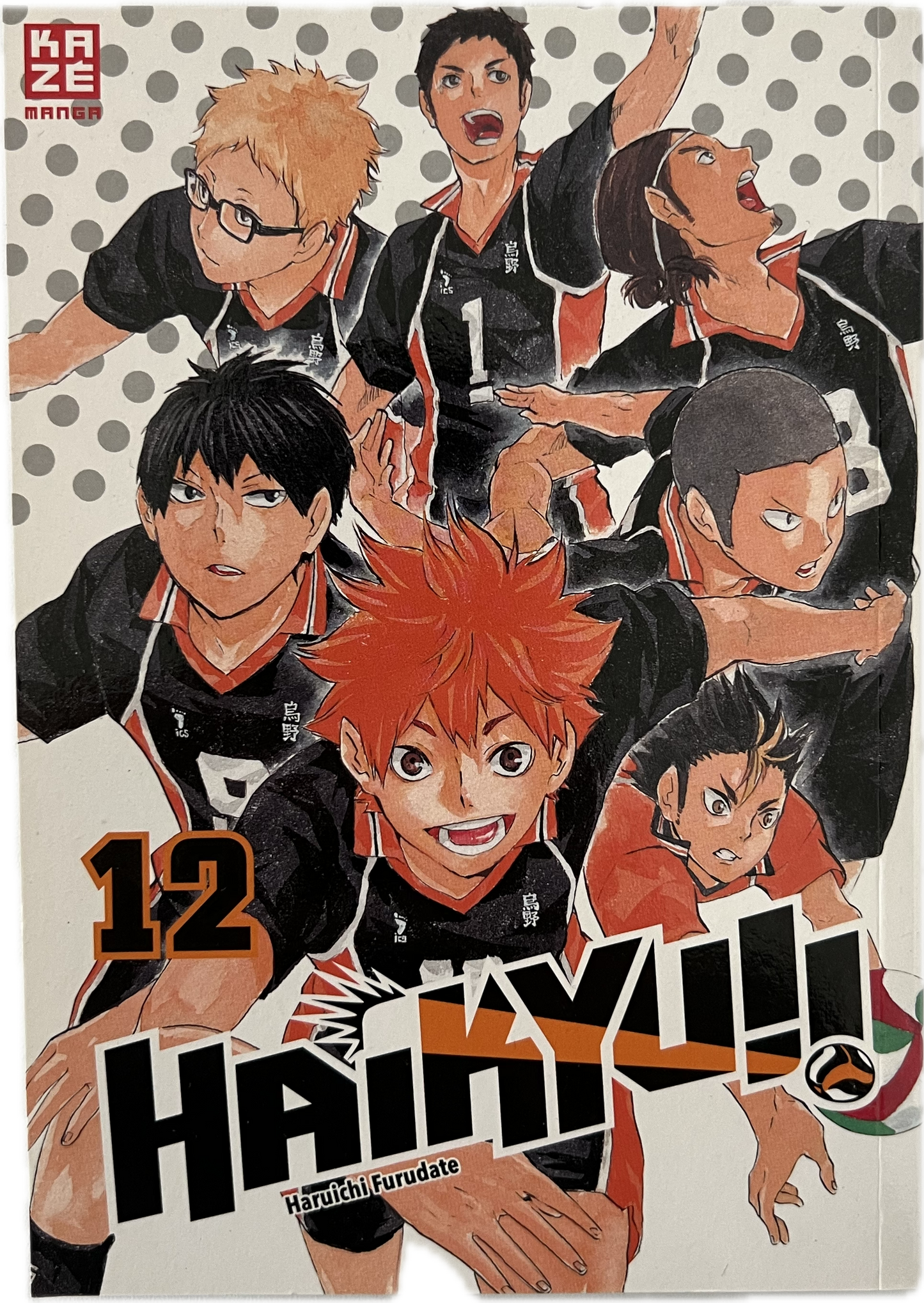 Haikyu 12-Manayga