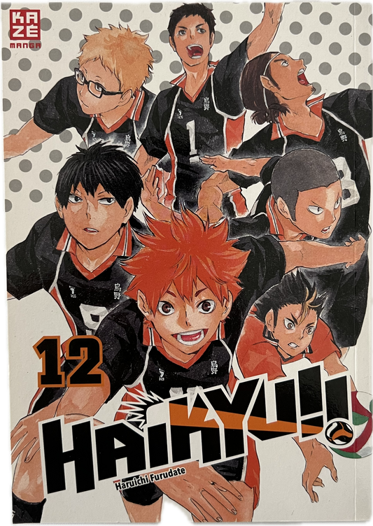 Haikyu 12-Manayga