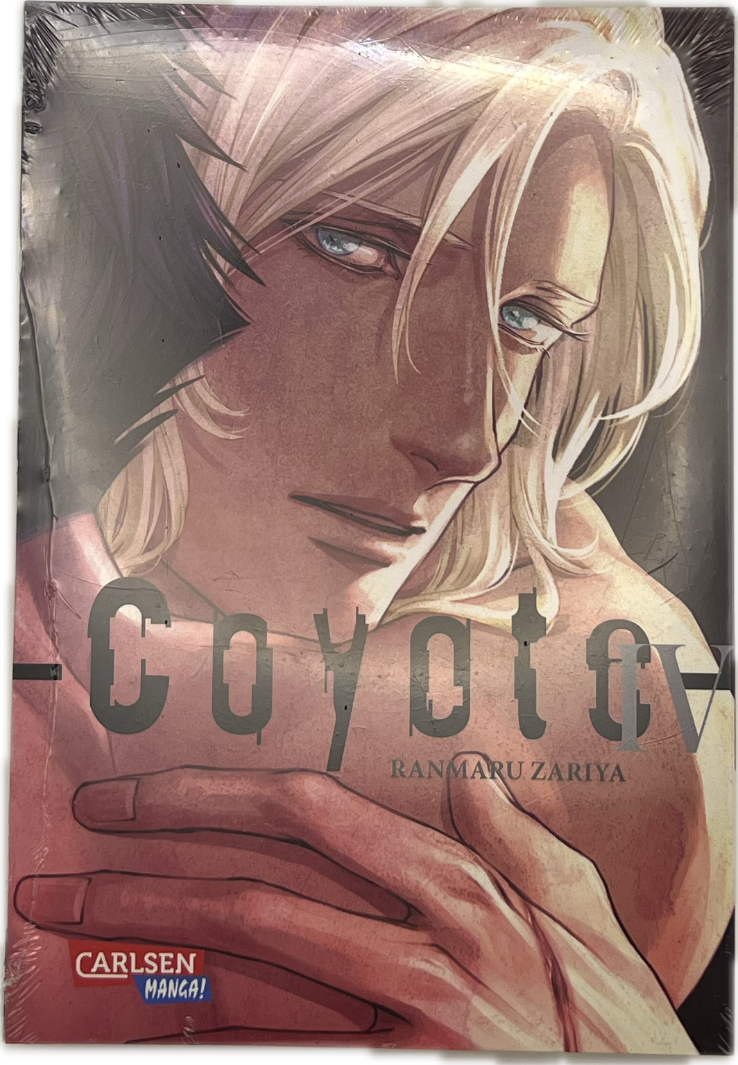 Coyote 04