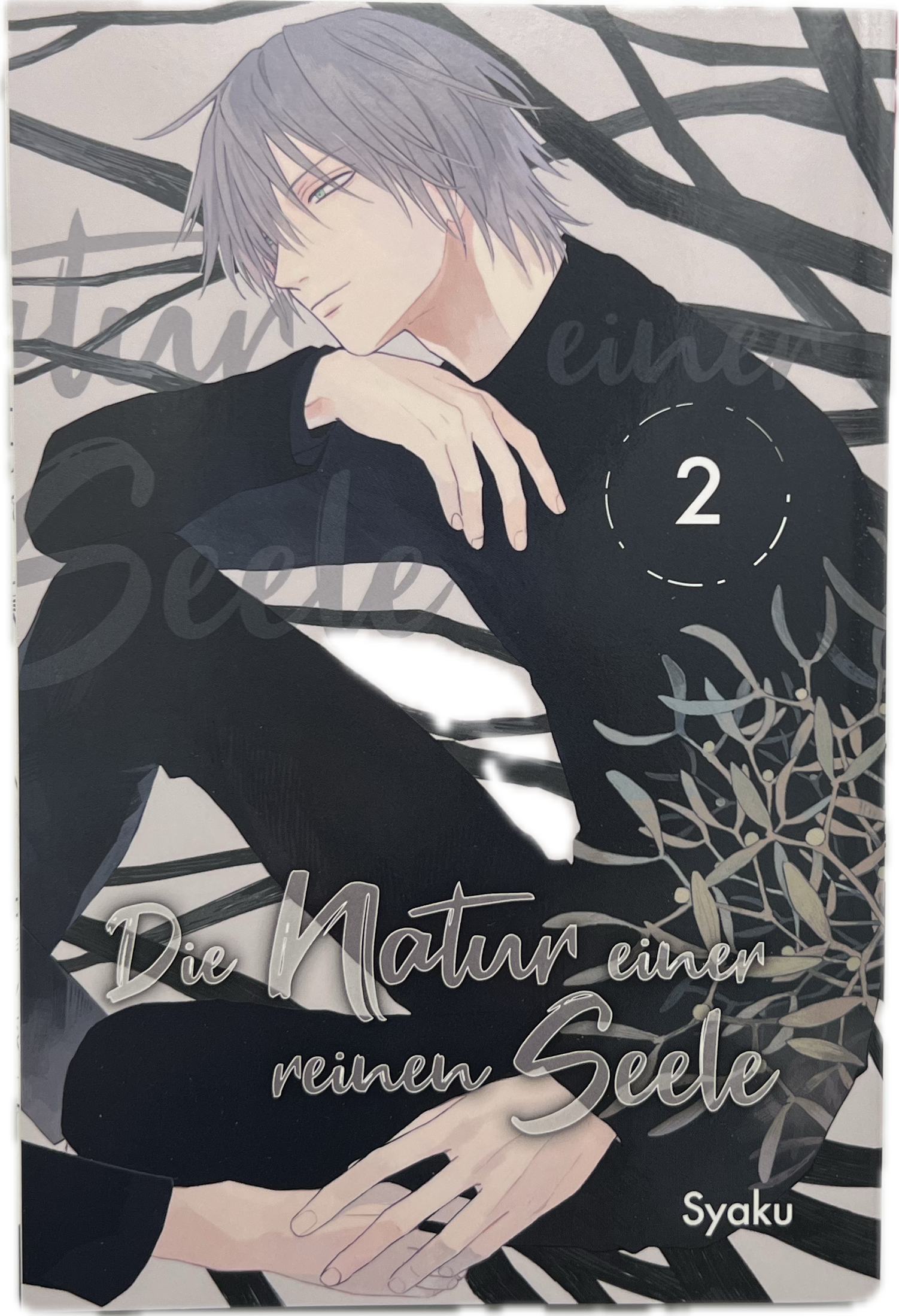 Die Natur einer reinen Seele 02