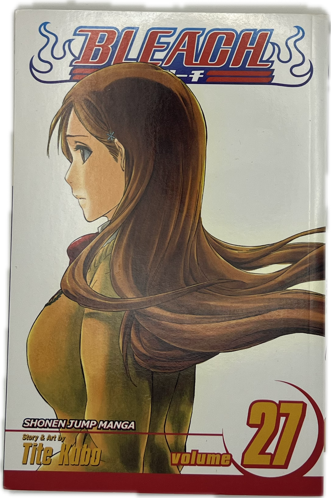 Bleach 27 Englisch