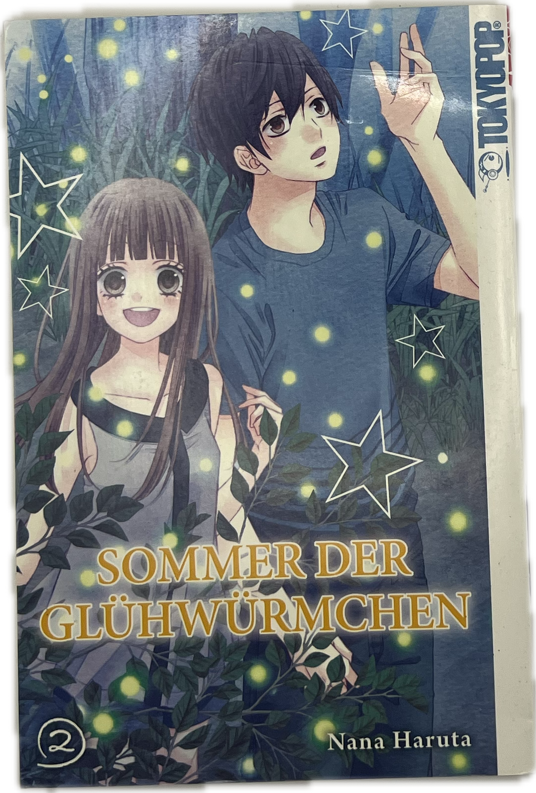 Summer of the Fireflies 02