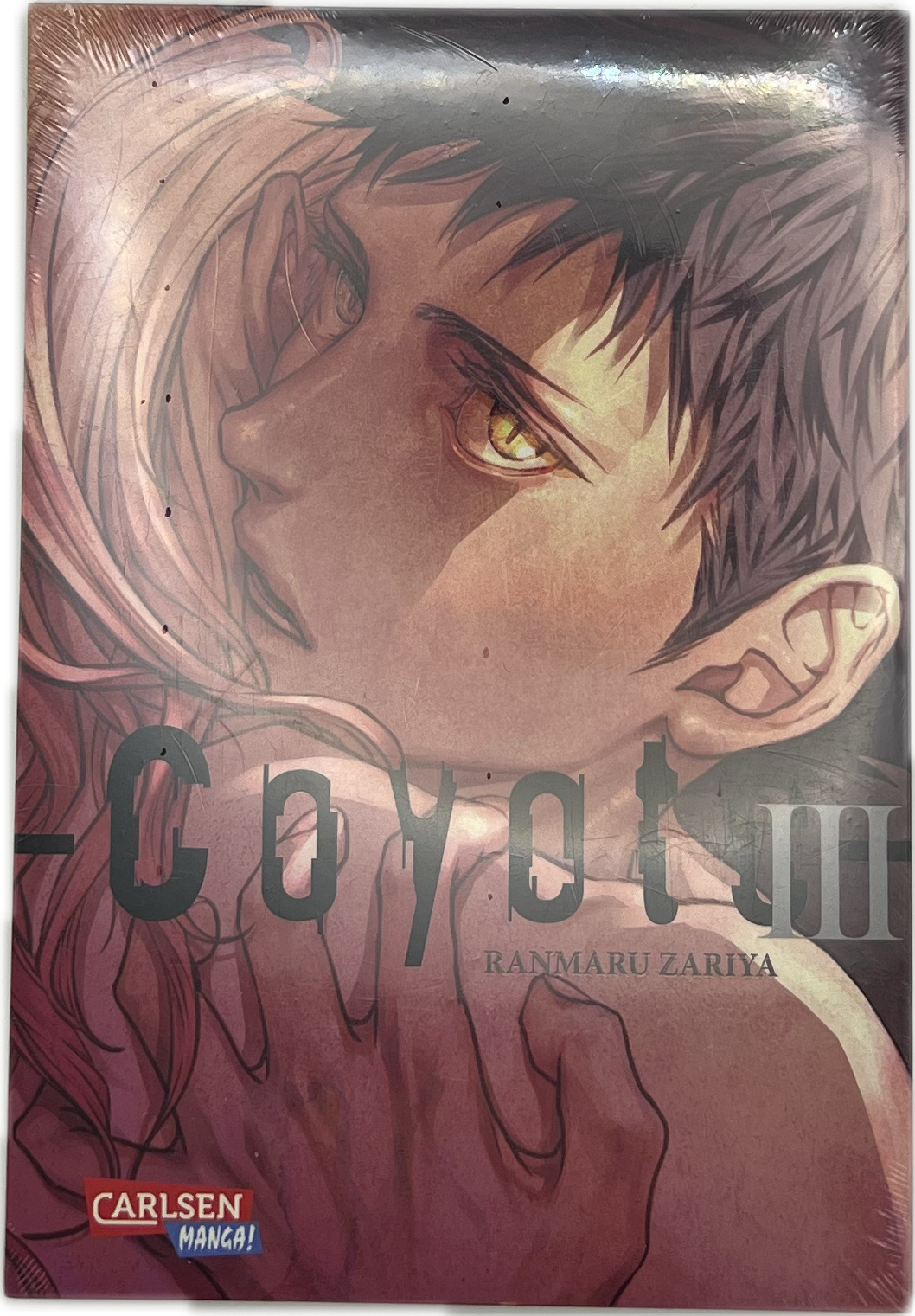 Coyote 03