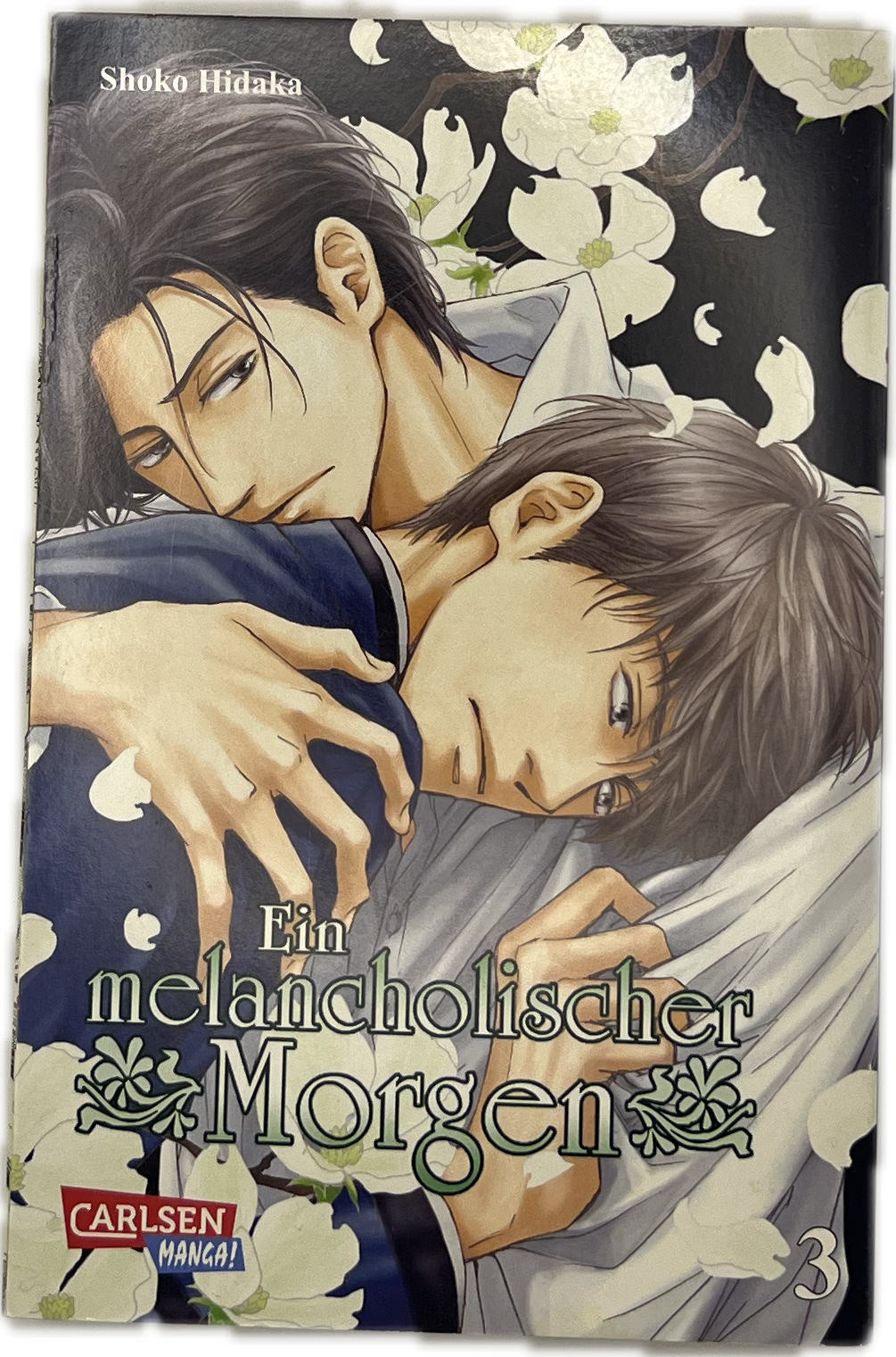 Ein melancholischer Morgen 03