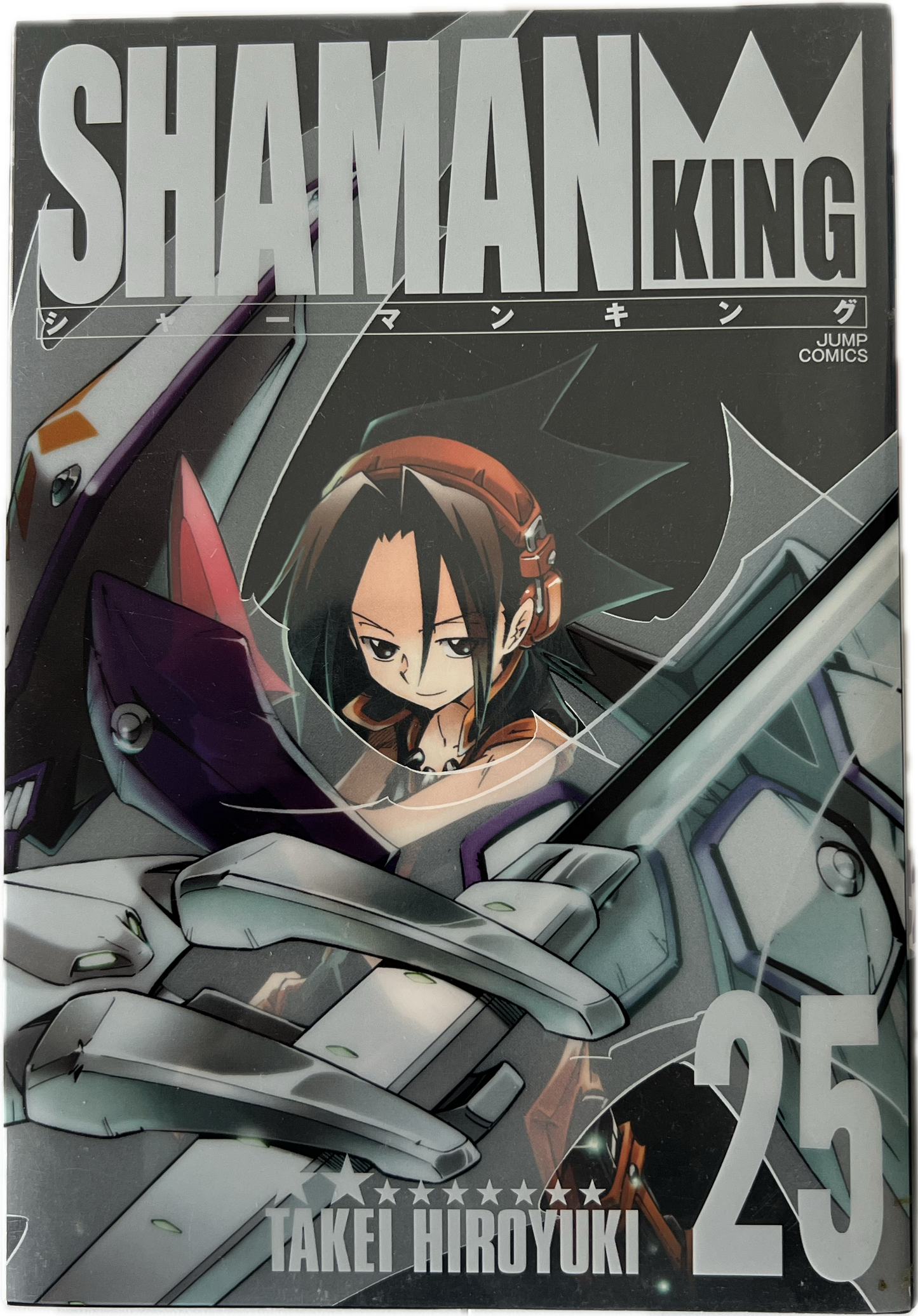 Shaman King 25 japanisch