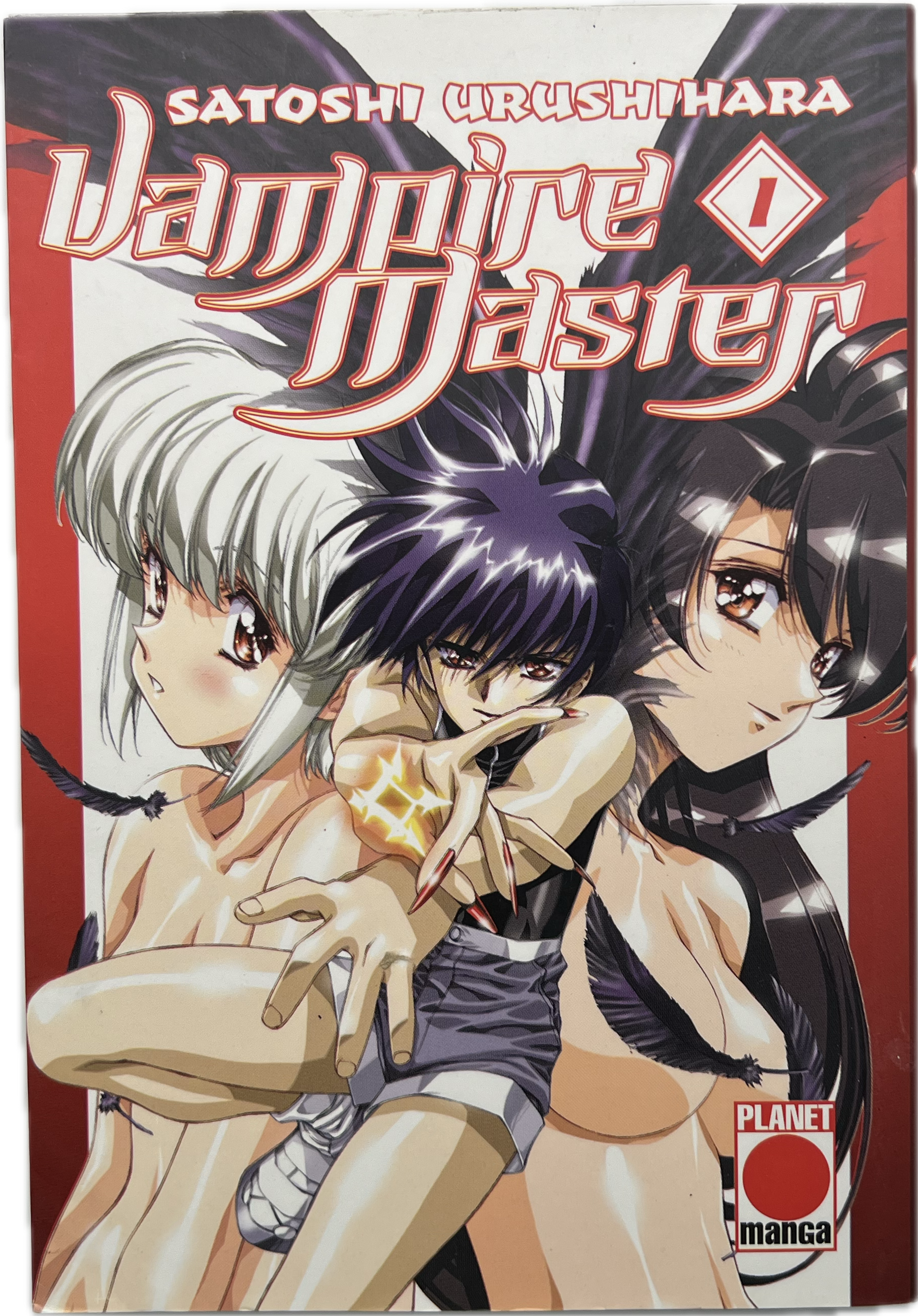Vampire Master 01