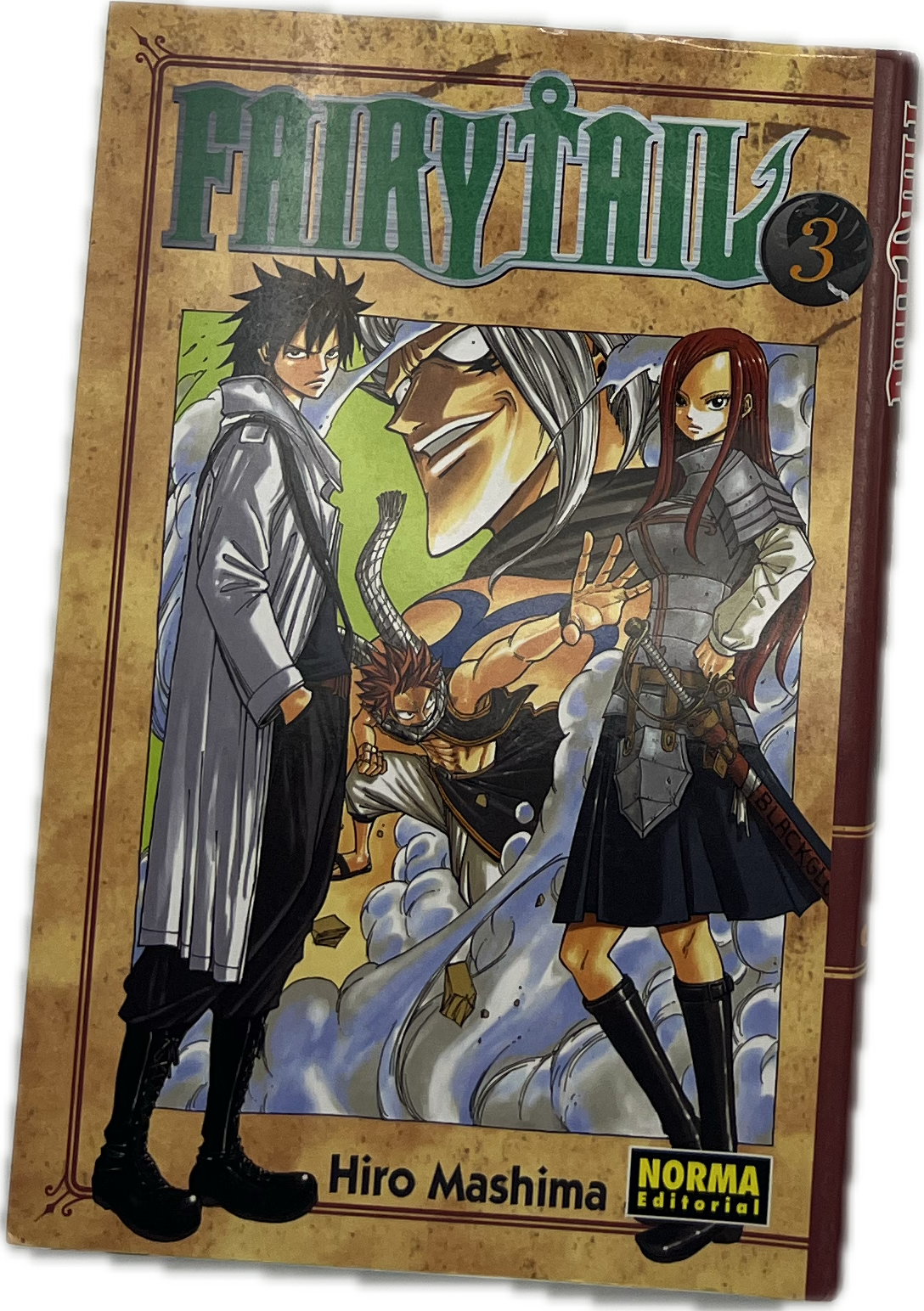 Fairy Tail 03 Spanisch