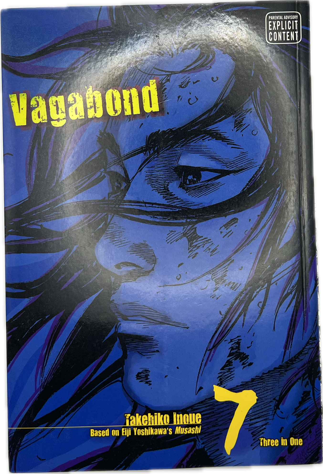 Vagabond 07 VIZBIG Englisch