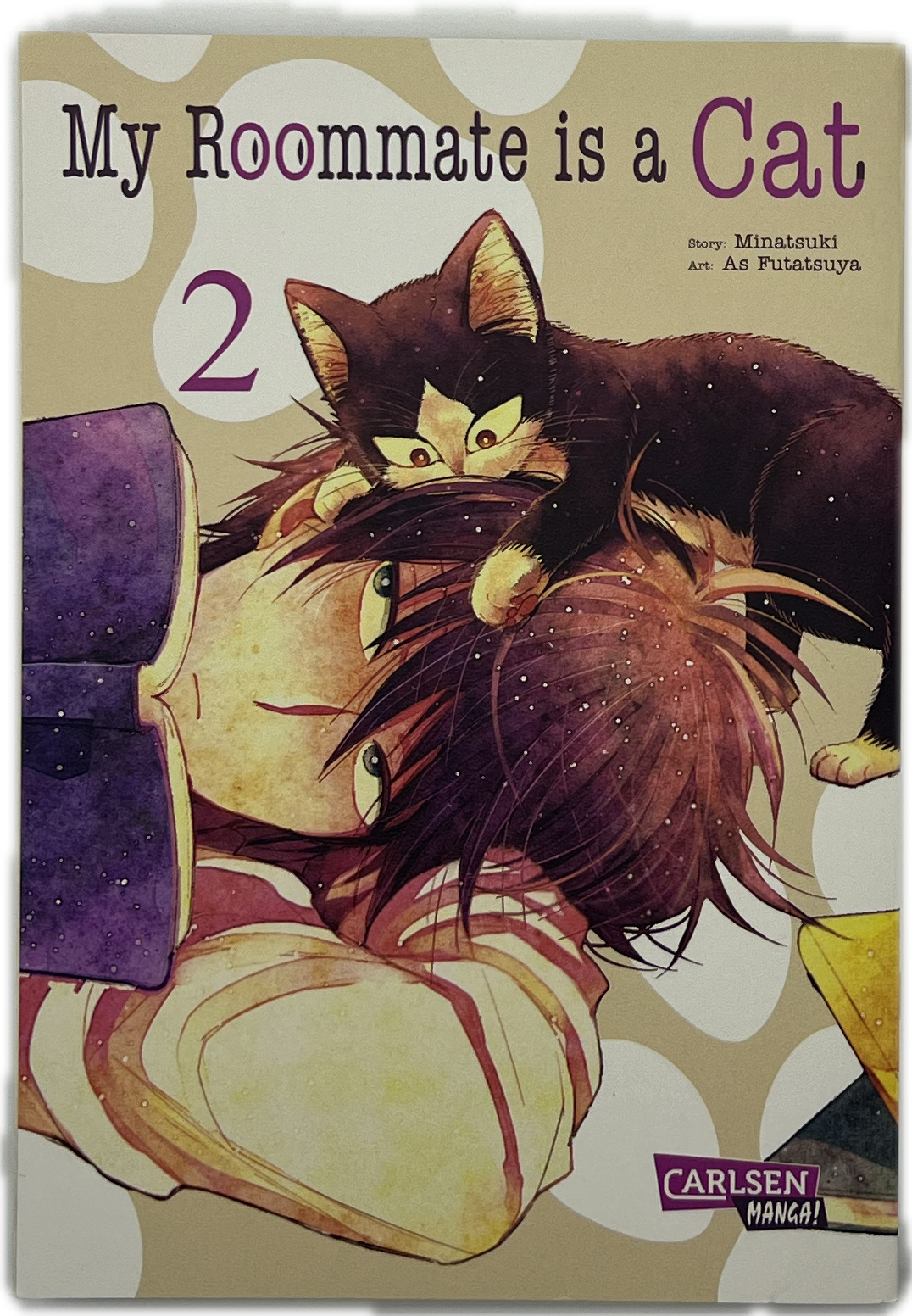 My Roommate is a cat 02