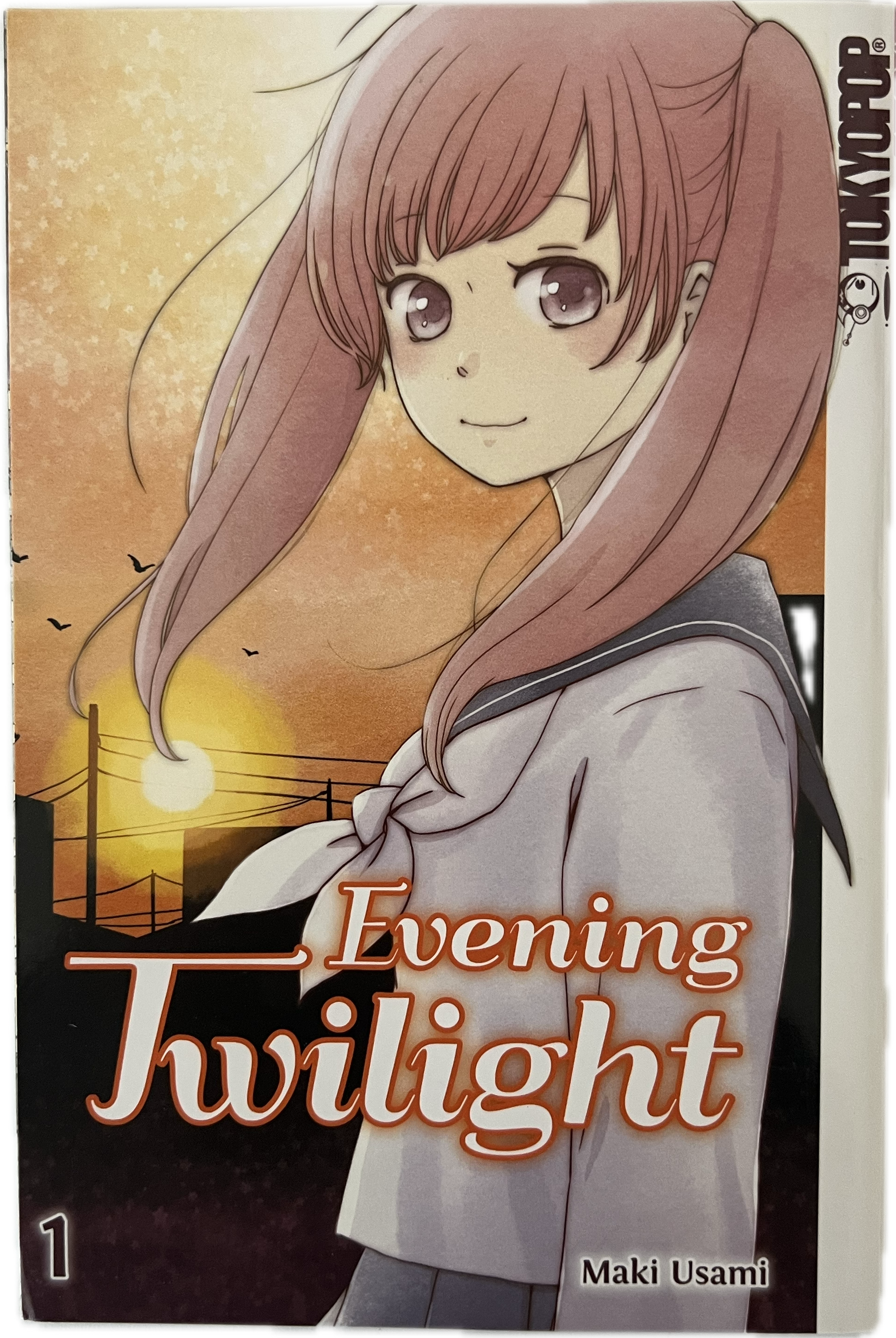 Evening Twilight 01