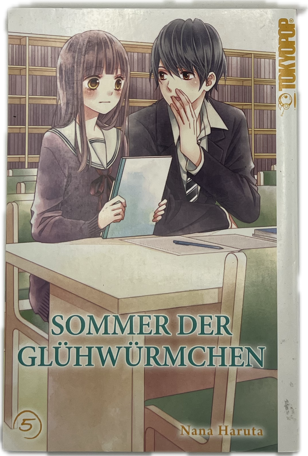 Sommer der Glühwürmchen 05 | Manayga