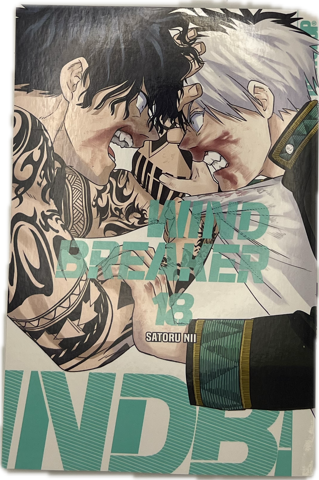 Wind Breaker 18 (Neu)