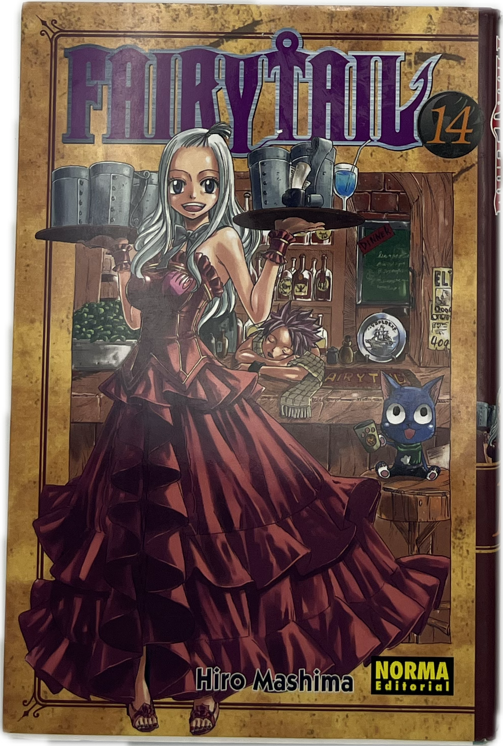 Fairy Tail 14 Spanisch