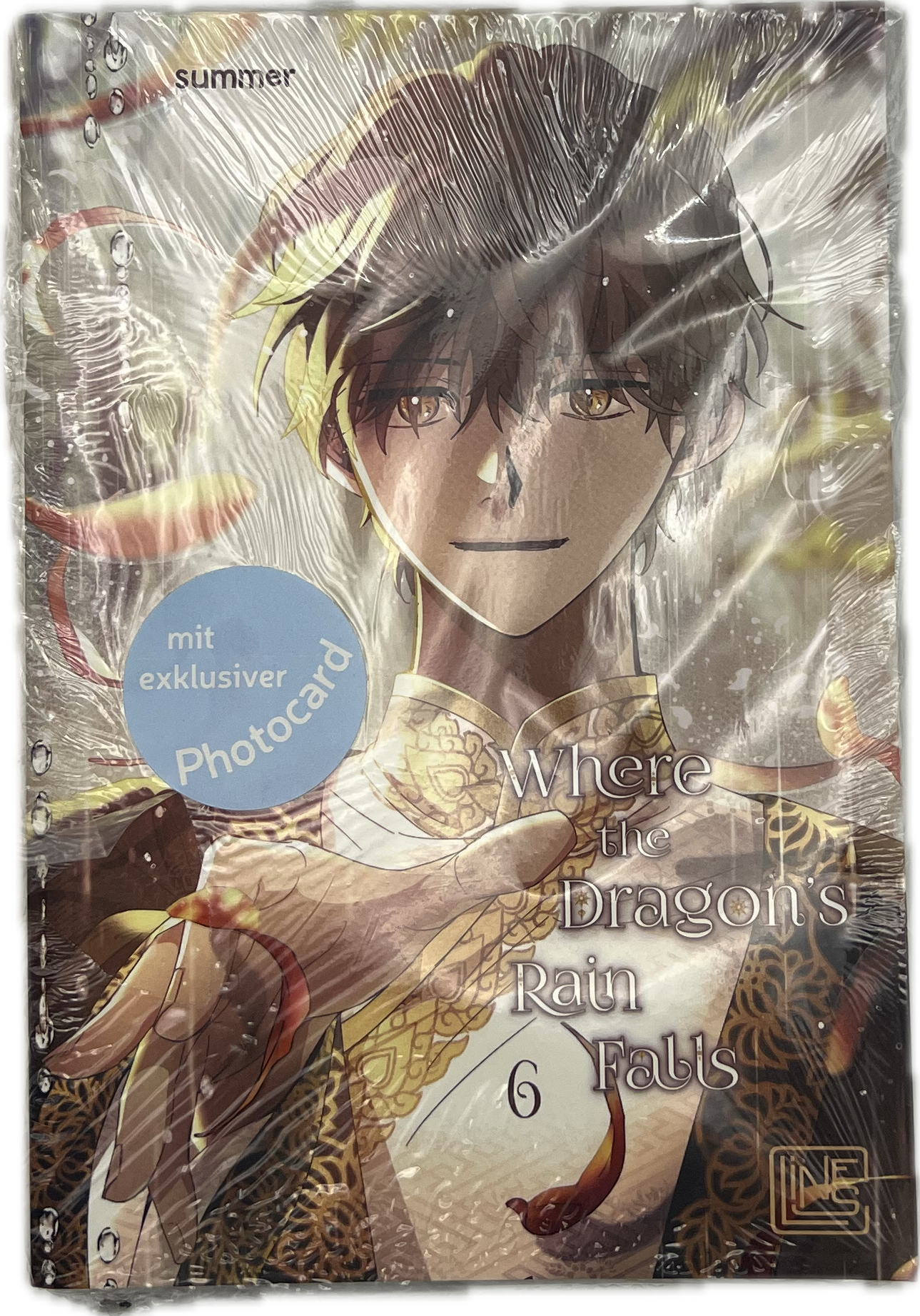 Where the Dragon's Rain falls 06