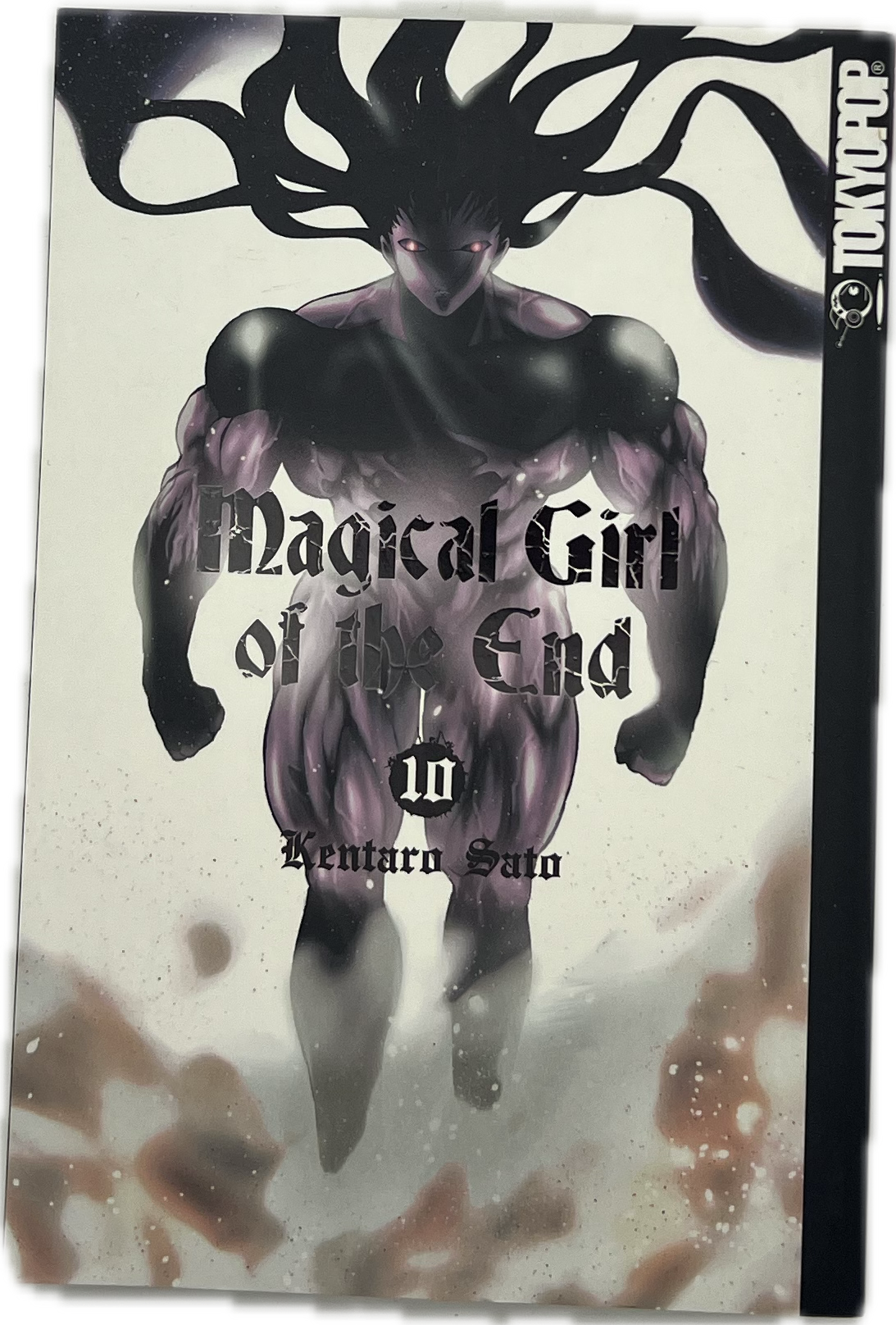 Magical Girl of the End 10