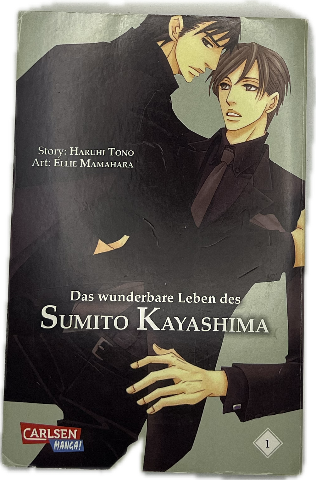 Das wunderbare Leben des Sumito Kayashima 01