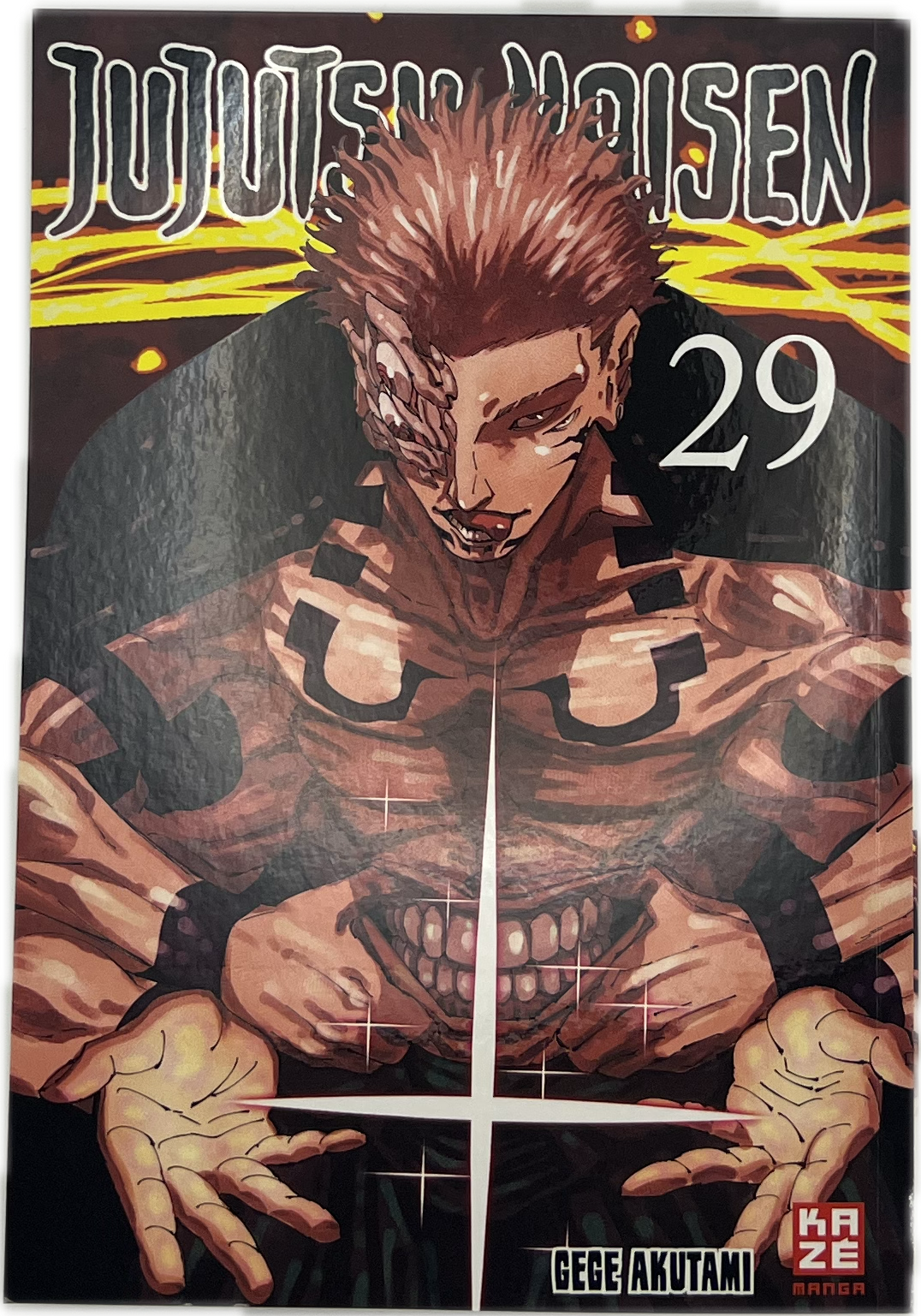Jujutsu Kaisen 29 | Manayga