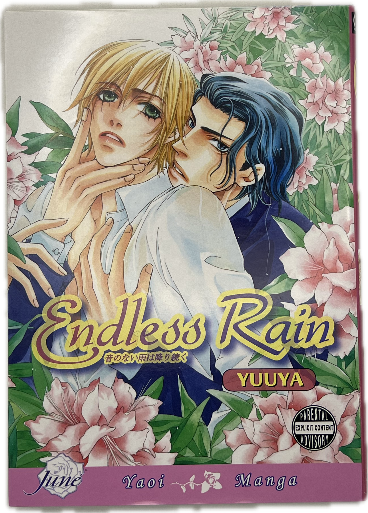 Endless Rain Englisch