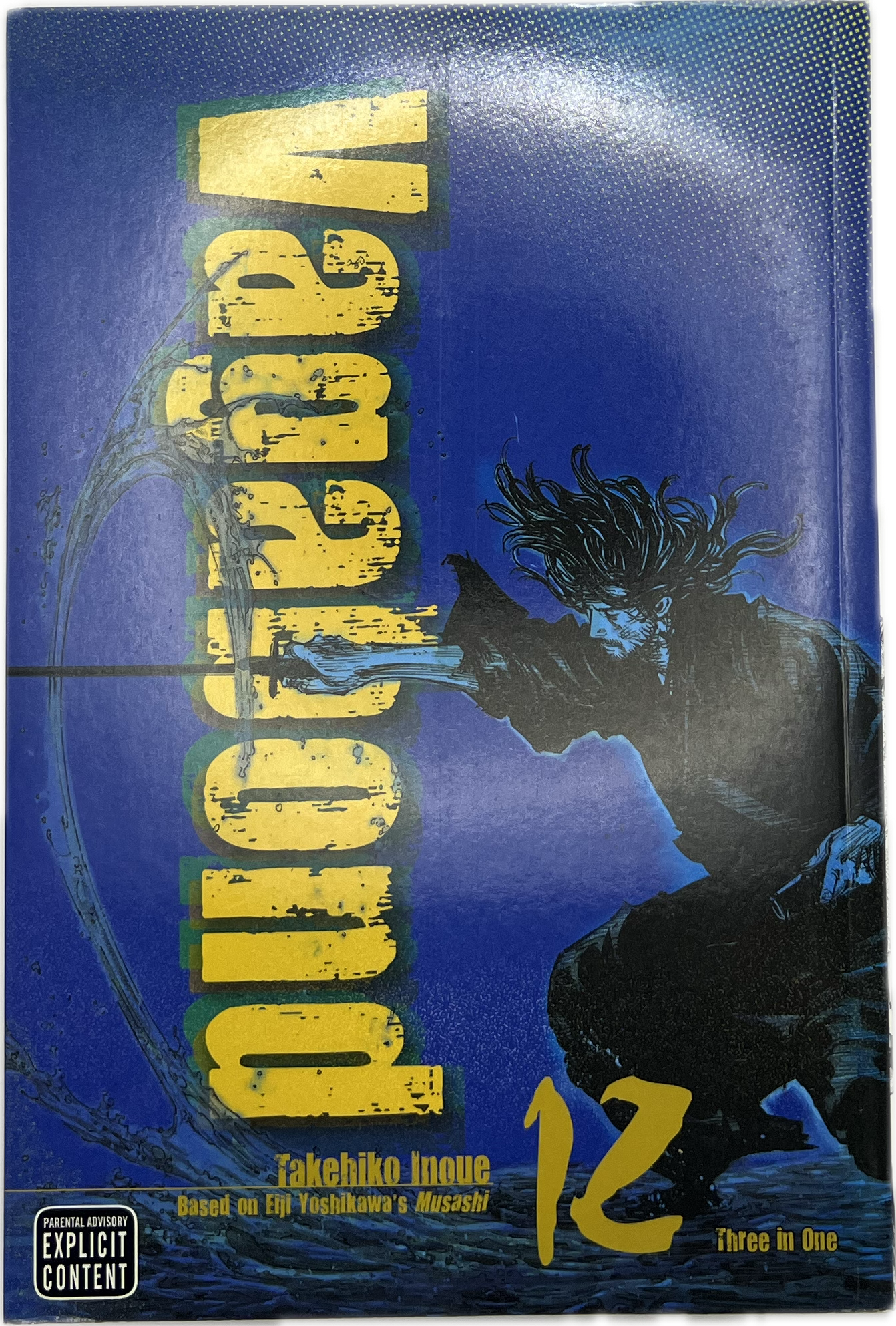 Vagabond 12 VIZBIG Englisch