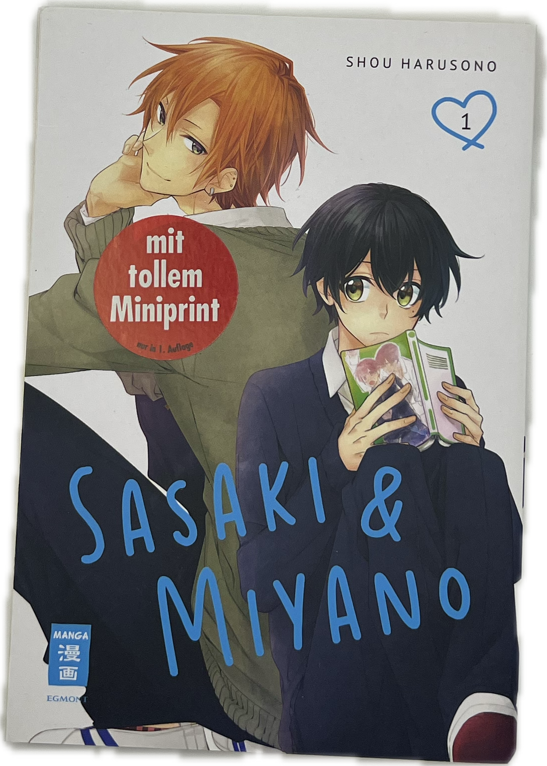 Sasaki & Miyano 01