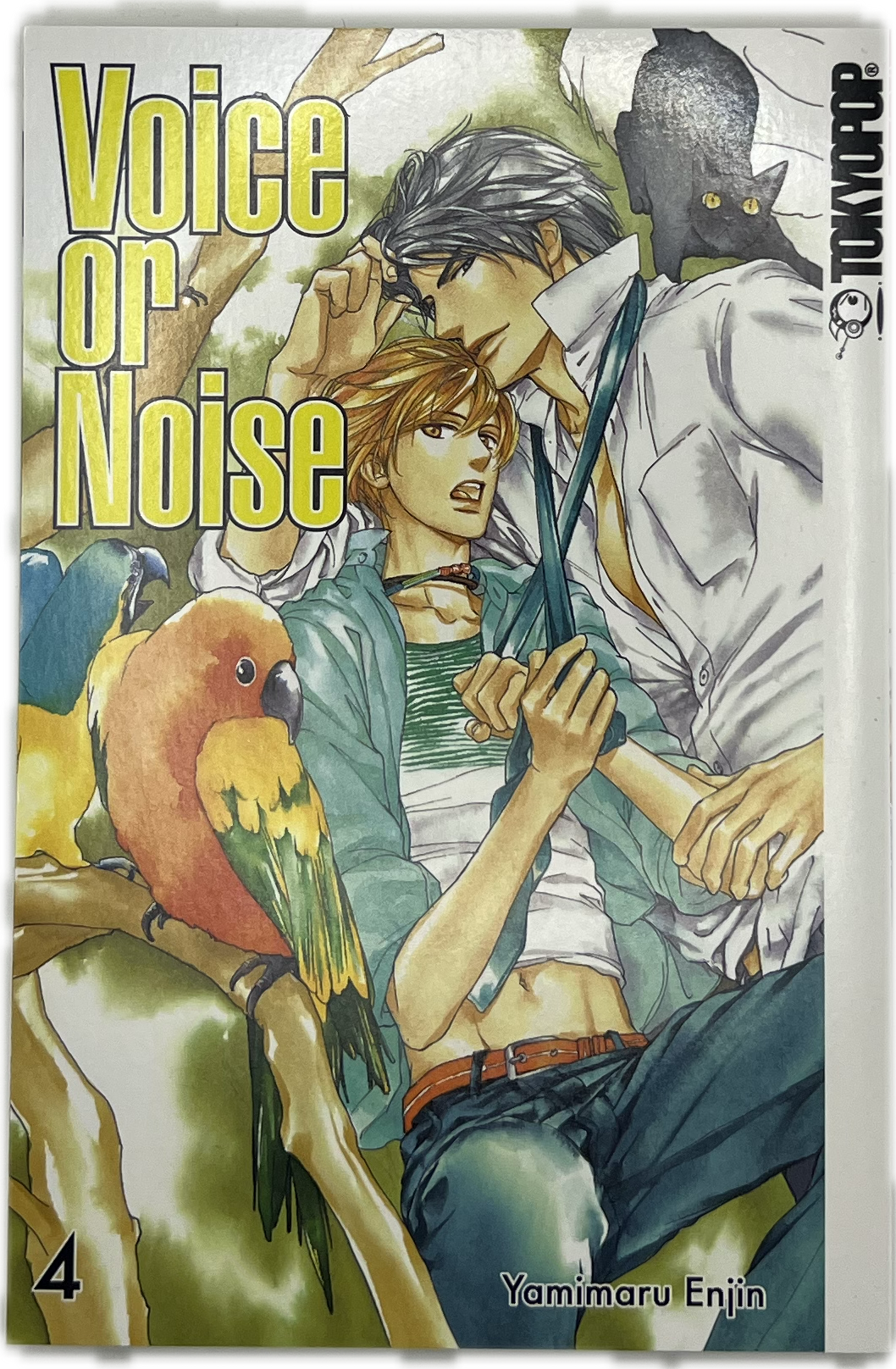 Voice or Noise 04