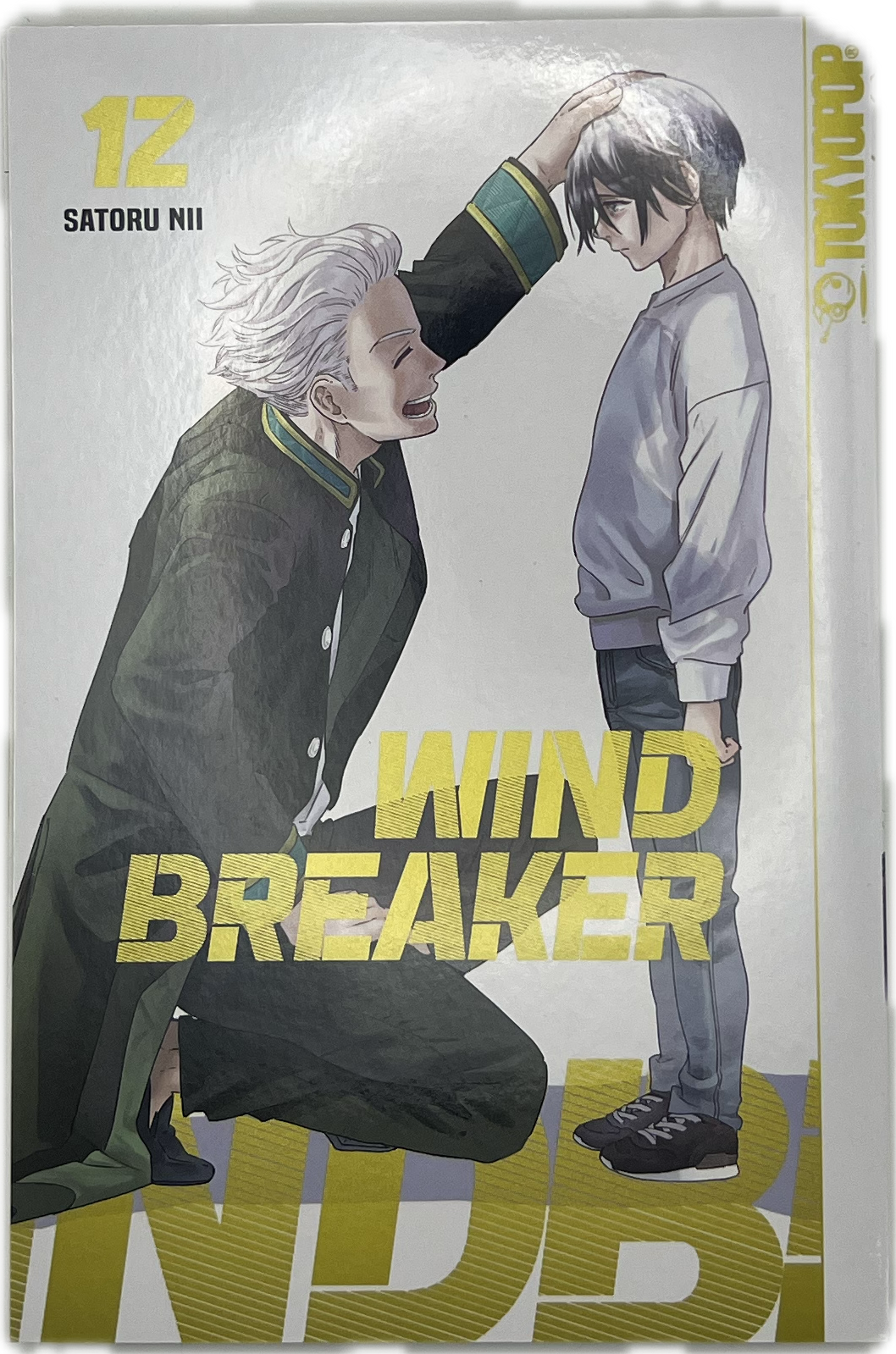 Wind Breaker 12