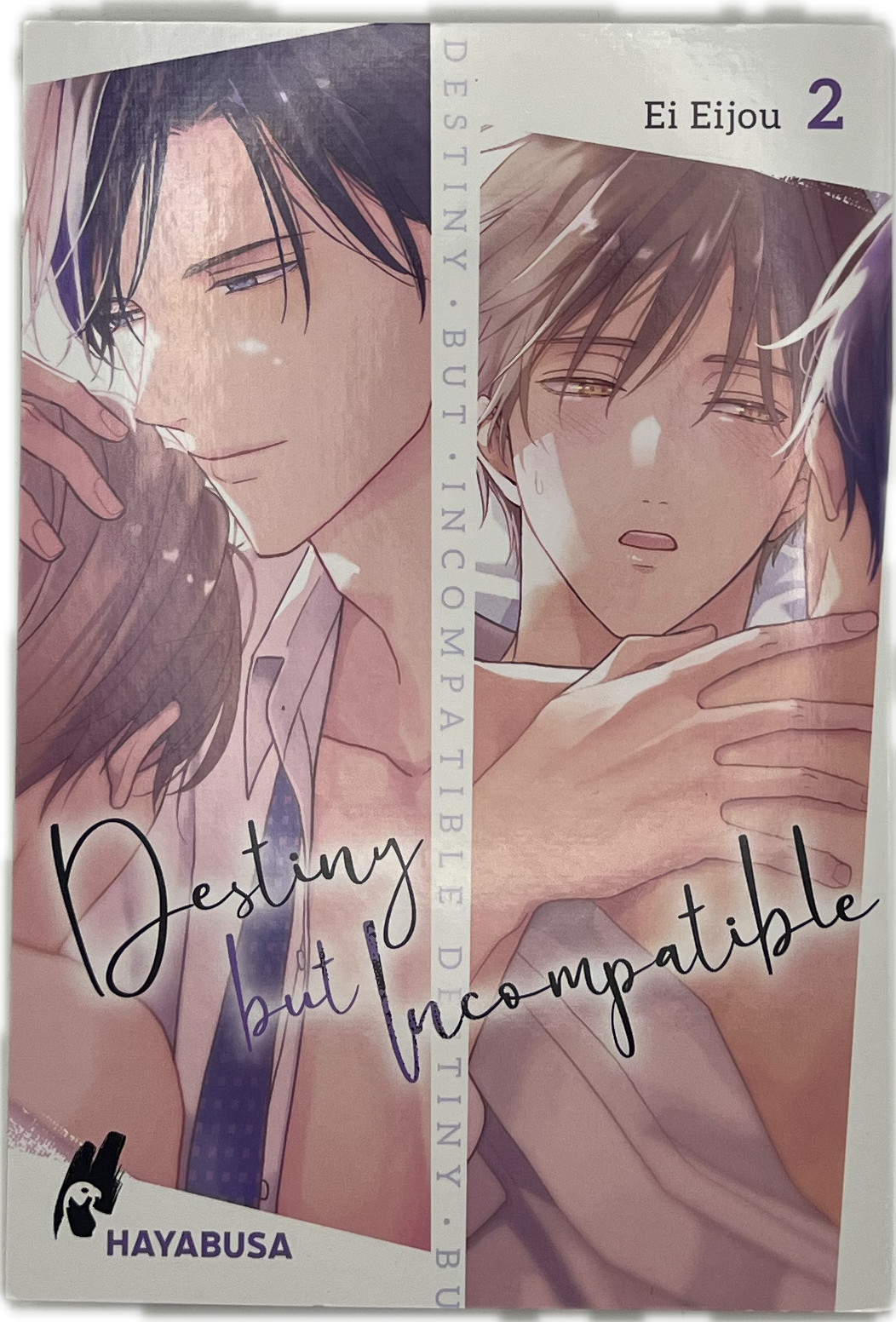Destiny but Imcompatible 02