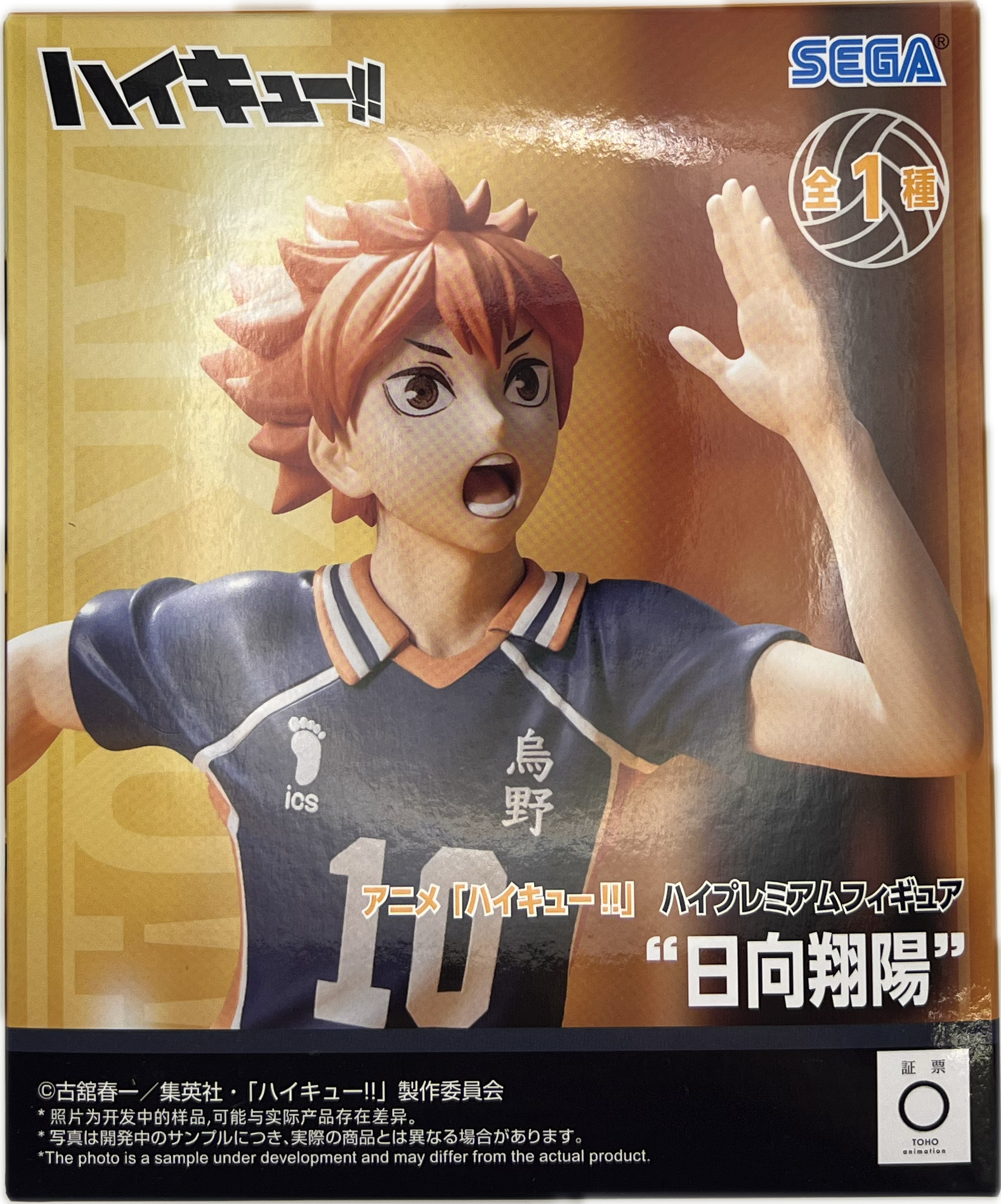 Shoyo Hinata Figur
