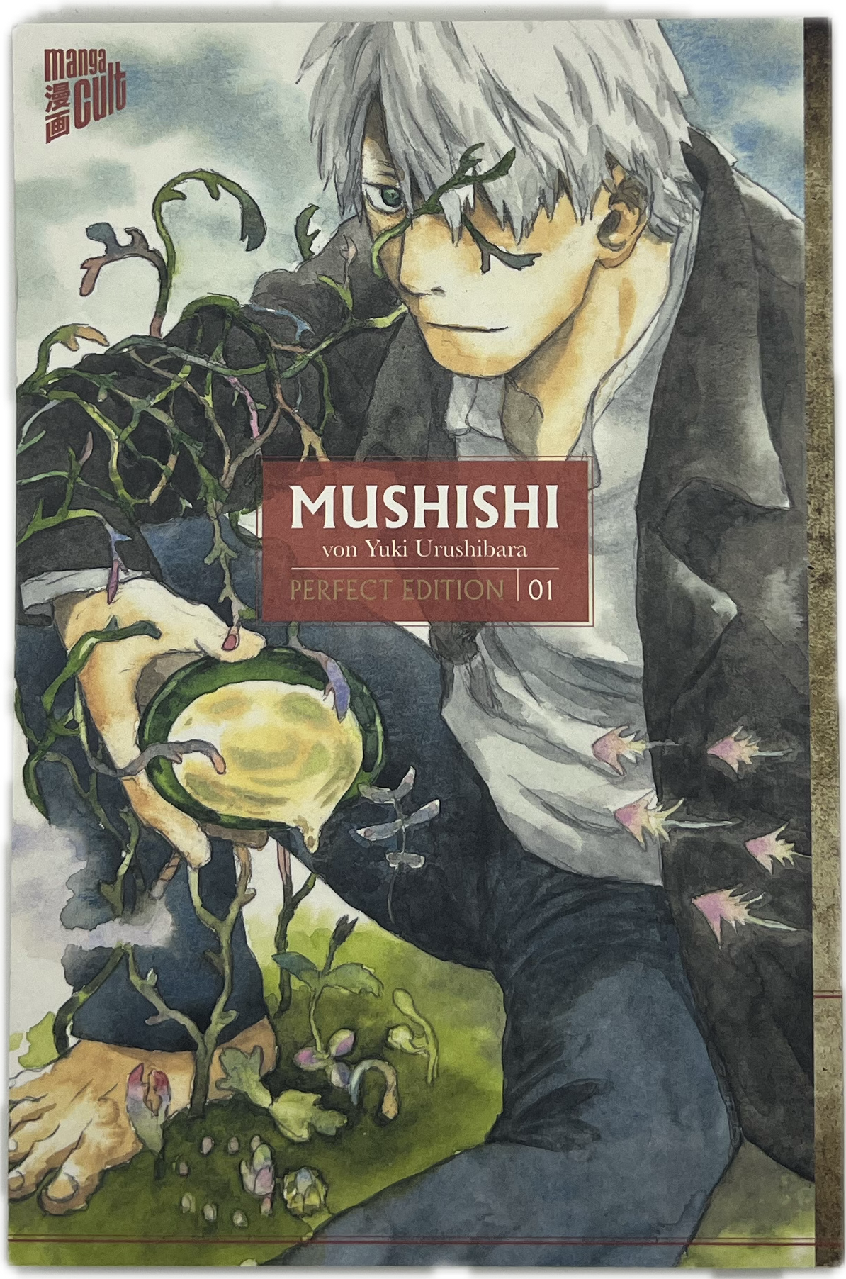 Mushishi Perfect Edition 01