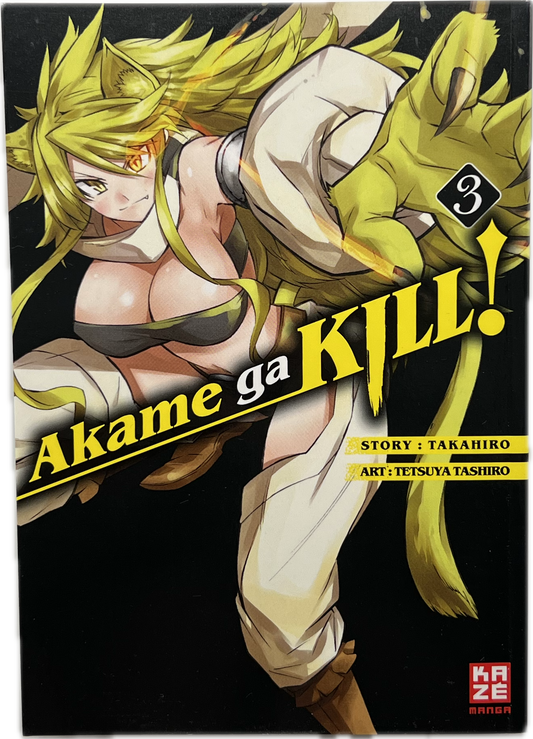 Akame Ga Kill 3-Manayga