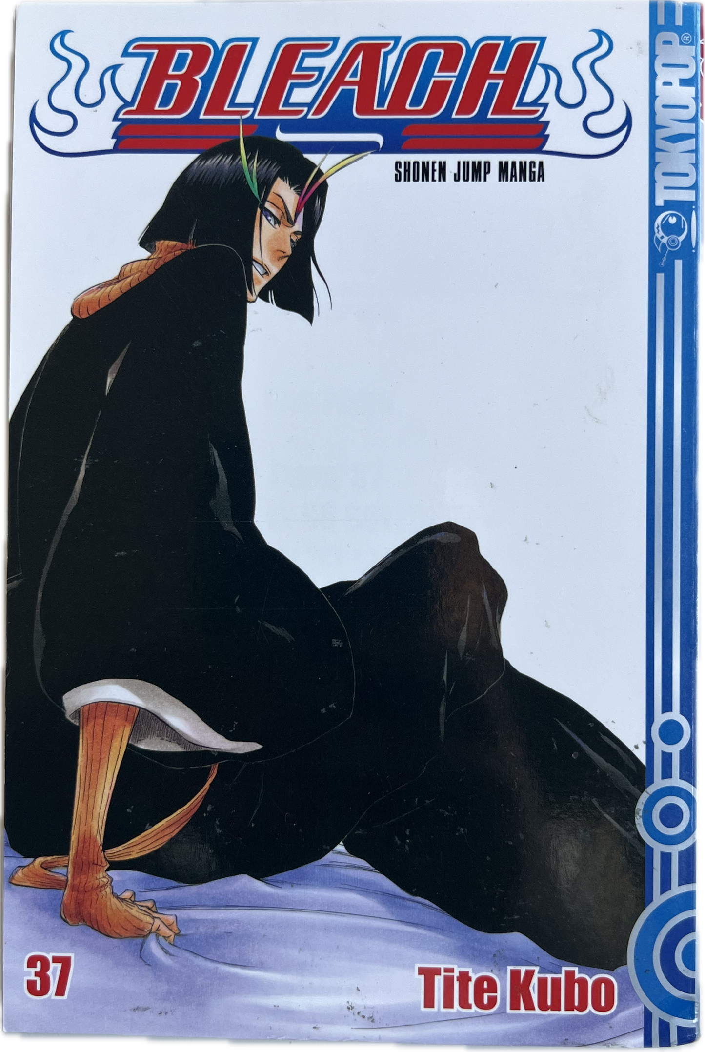 Bleach 37-Manayga