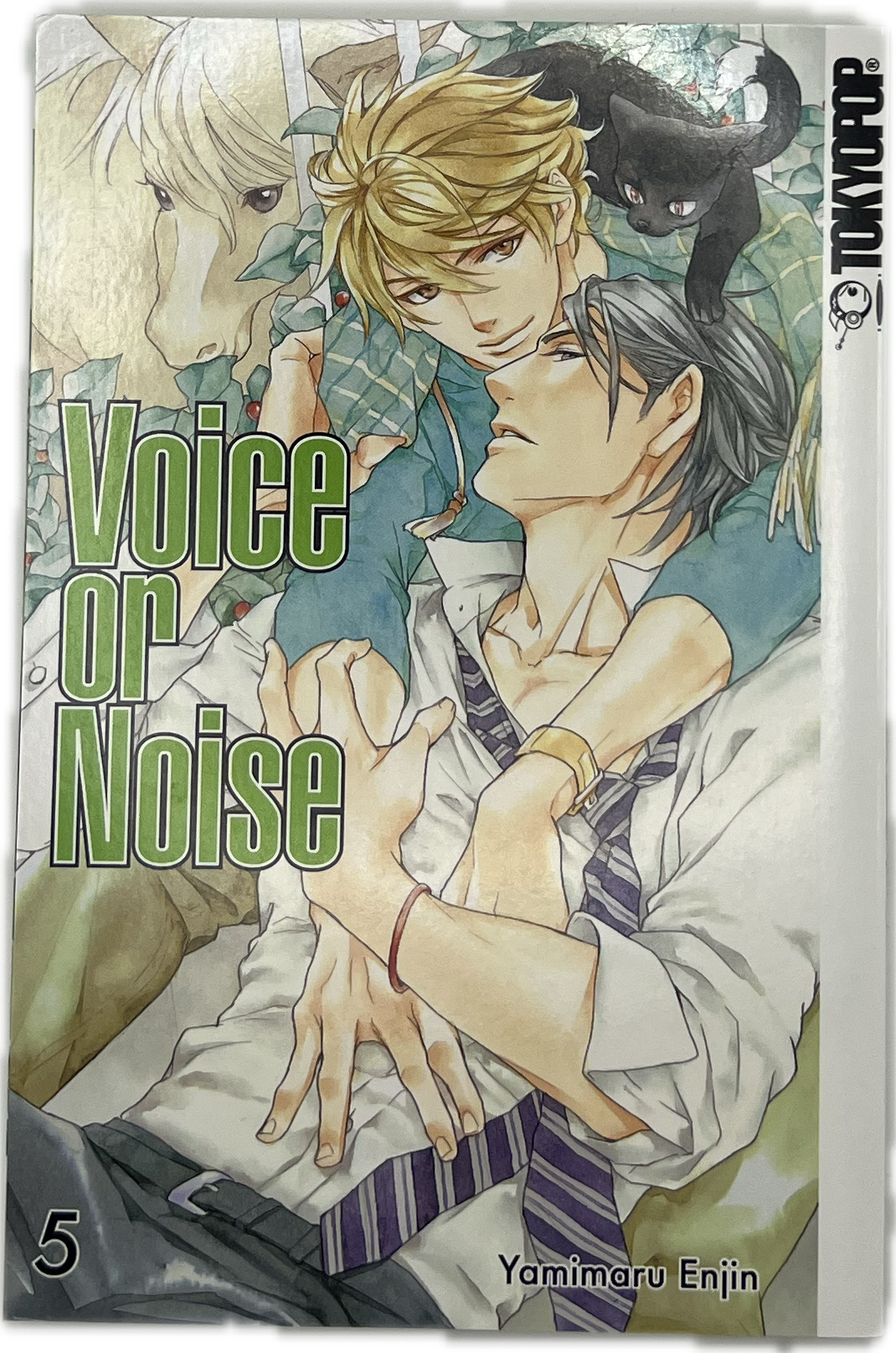 Voice or Noise 05