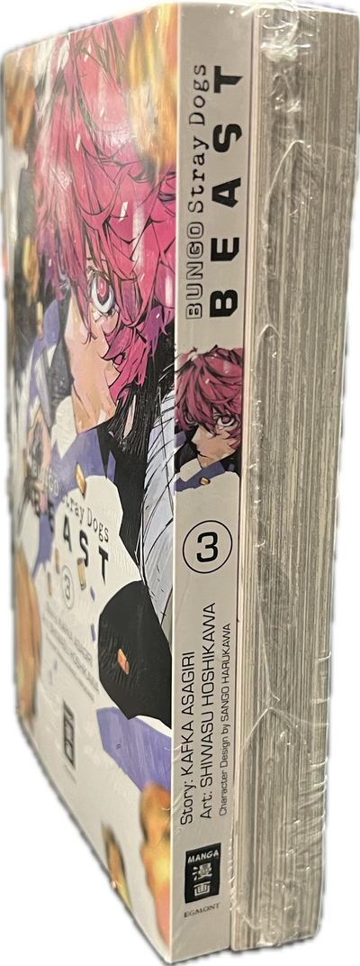 Bungo Stray Dogs 03+04