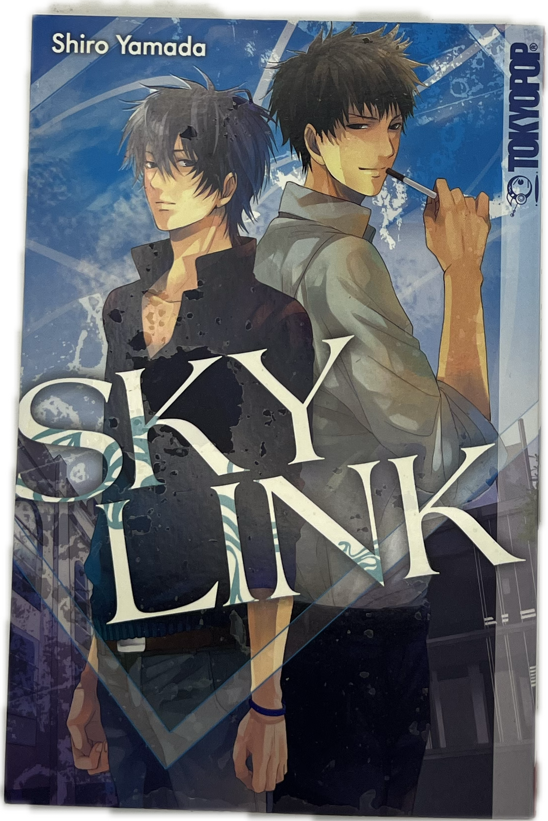 Sky Link